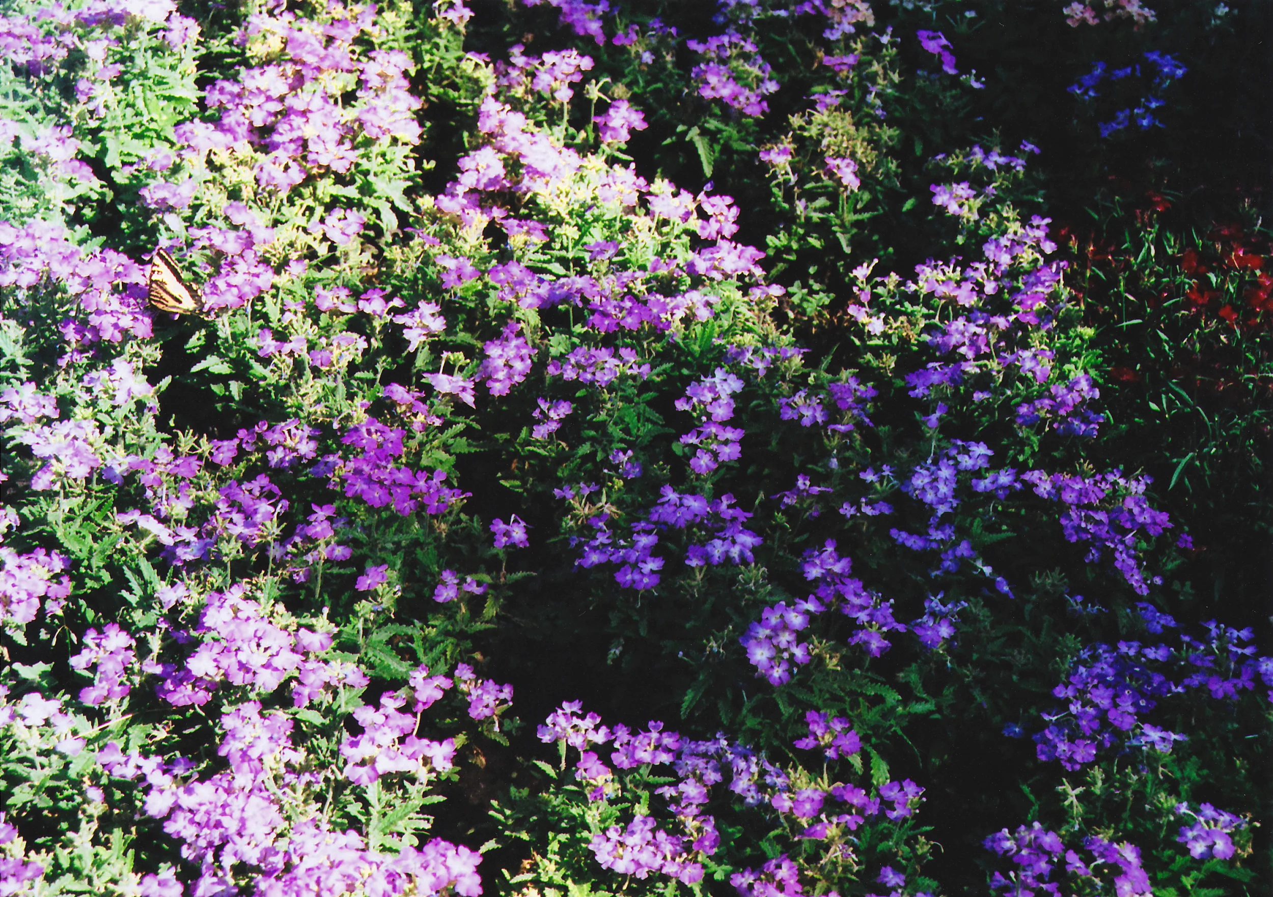Image 5: Sometimes in the right settings, the shutter does not lag and light does not always leak in.