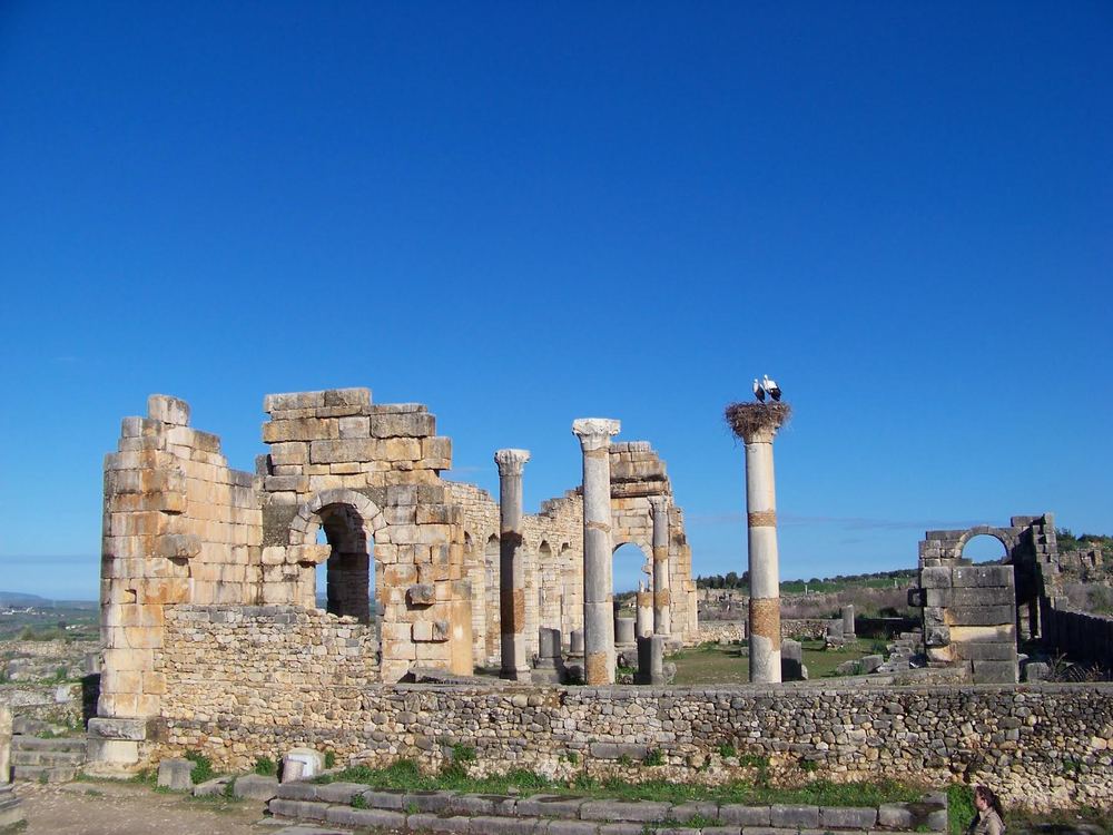     Photo by Celene Ba  Columns - The Roman ruins of Volubilis.&nbsp;     rrera&nbsp; 