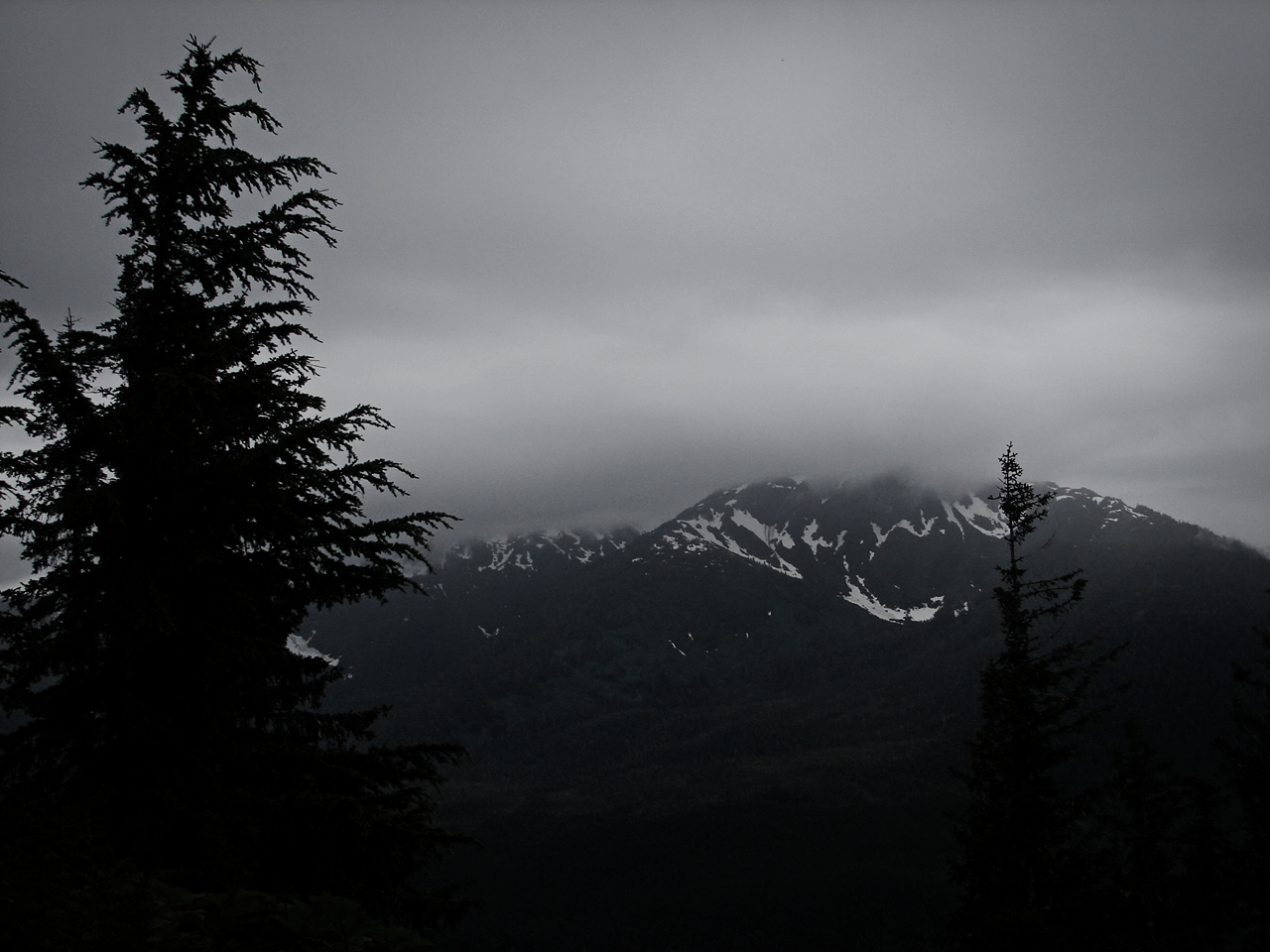 A view from Mt. Roberts. This place is spectacular. Photo: Trey Takahashi