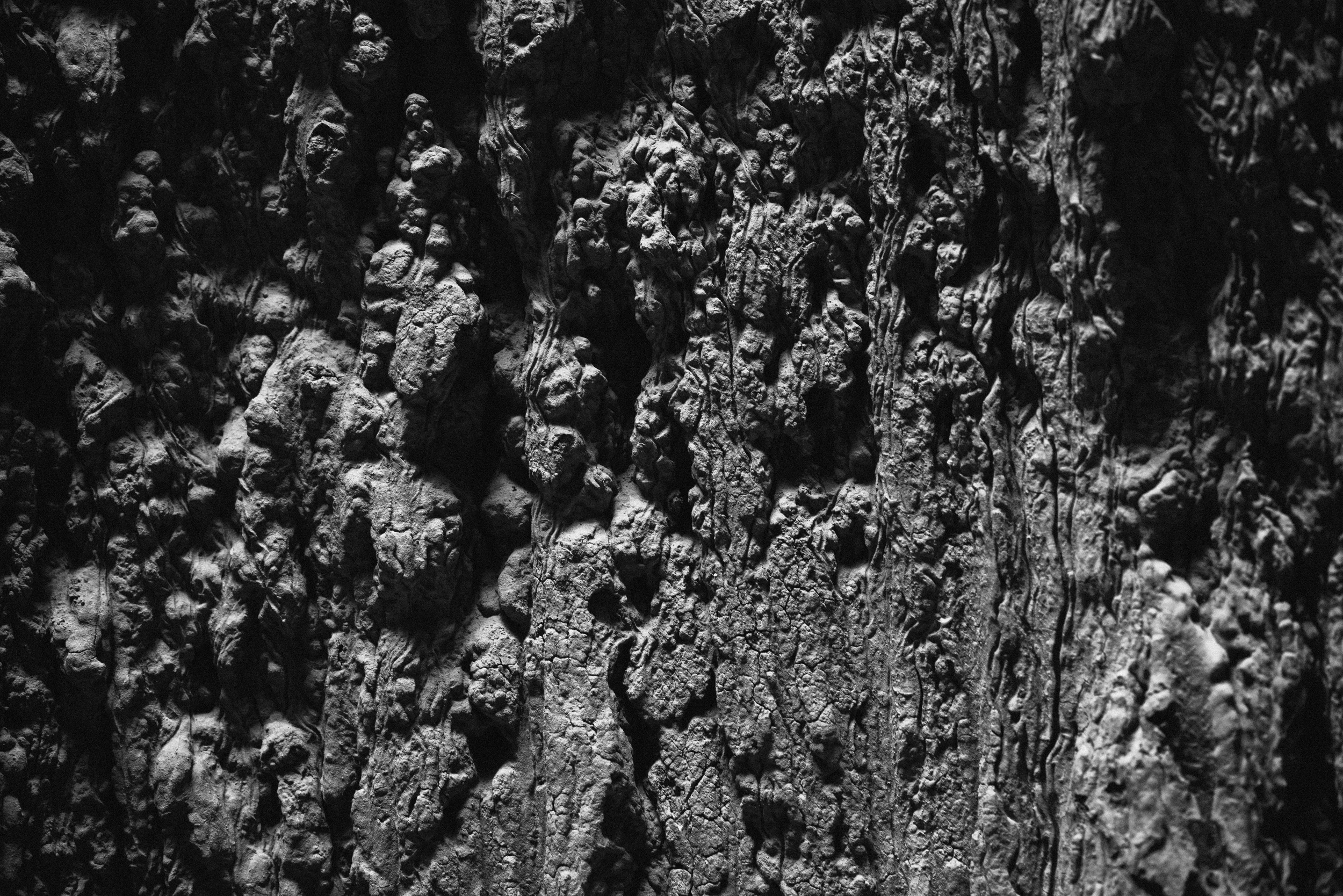 A close-up of the unique spires and the earth build up. Alien in their look and texture.