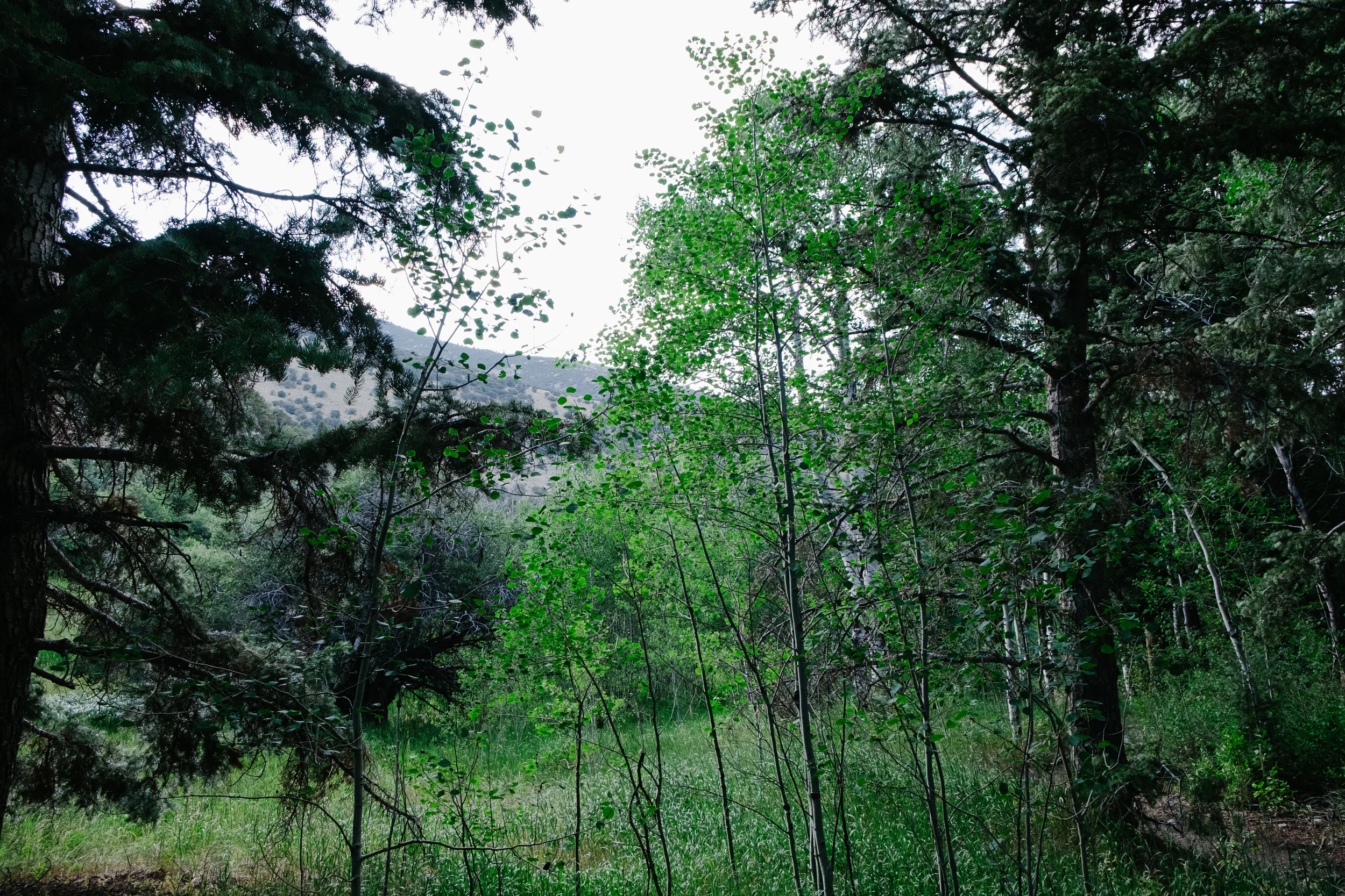 Baker Creek is home to hikes and trails in a park that is bustling with life.