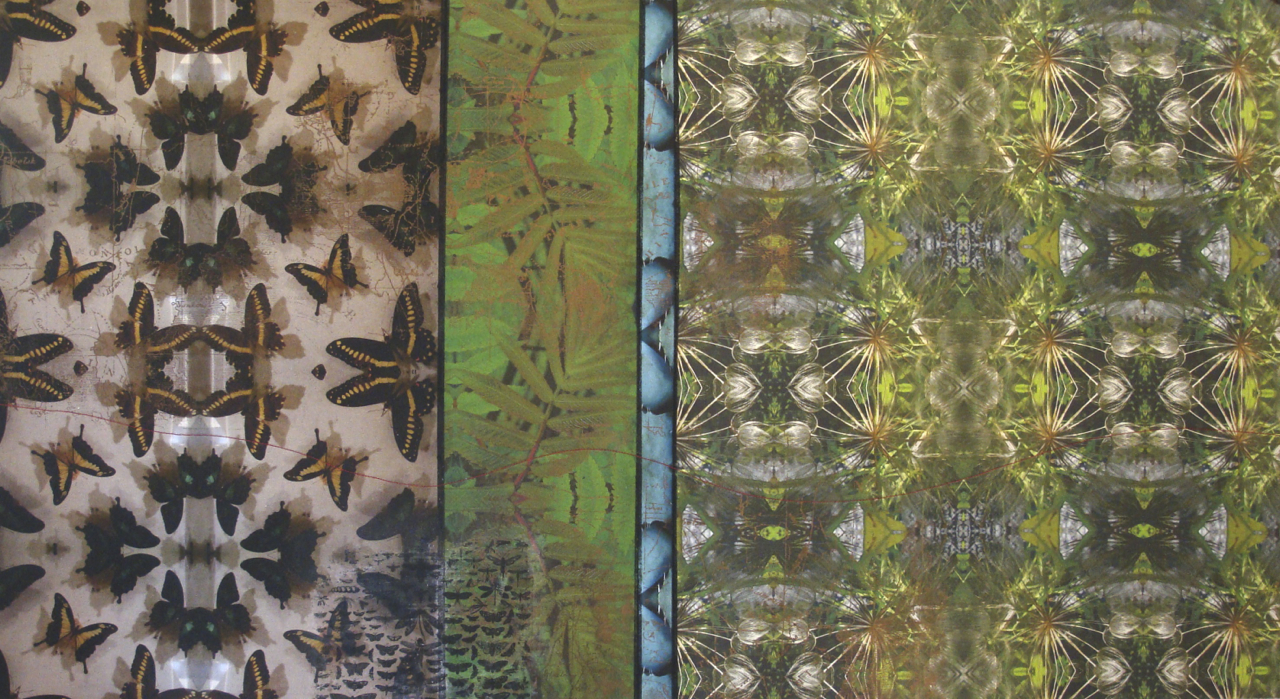 Butterflies/Thistle
