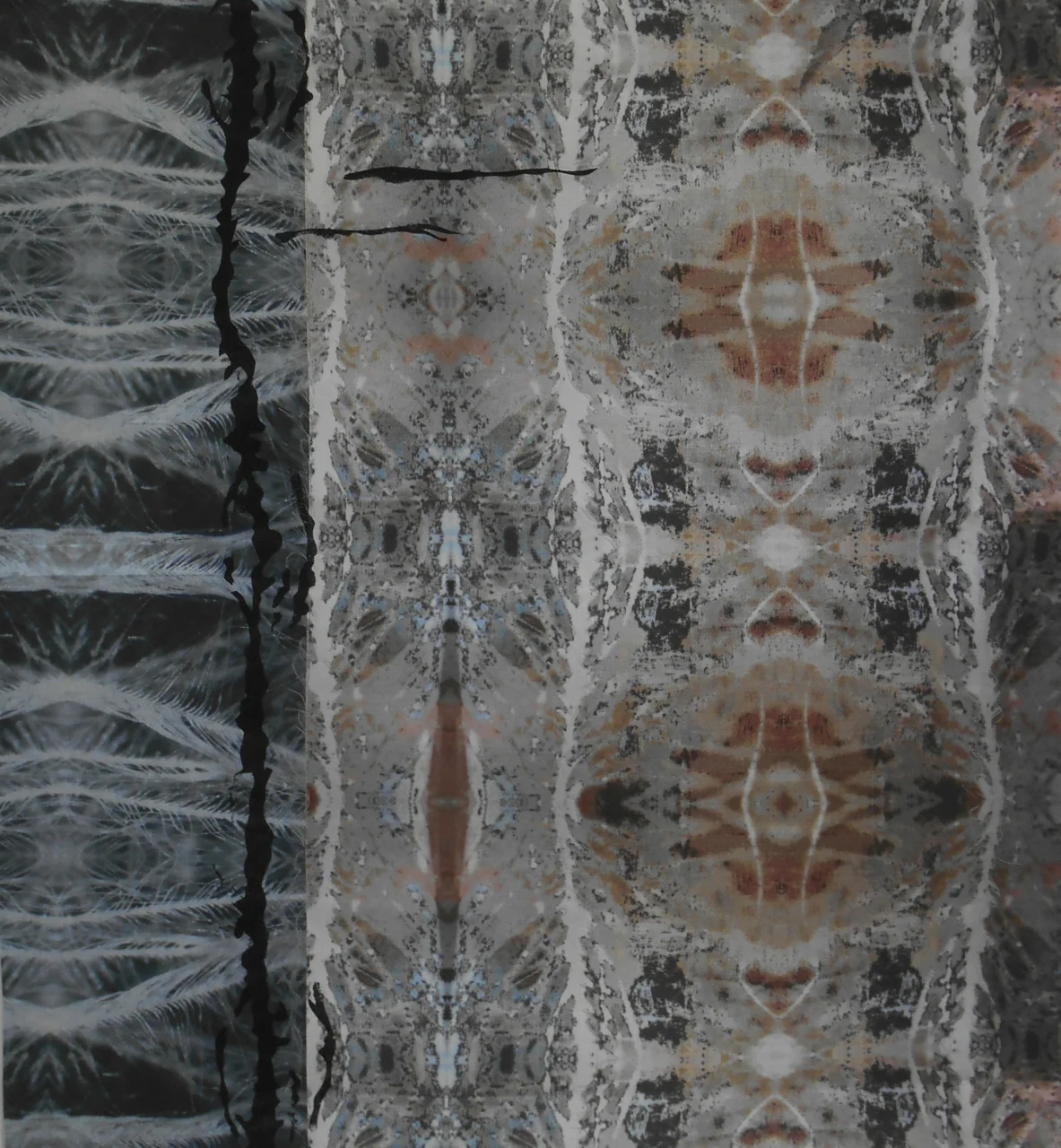 Feather and Bone IV