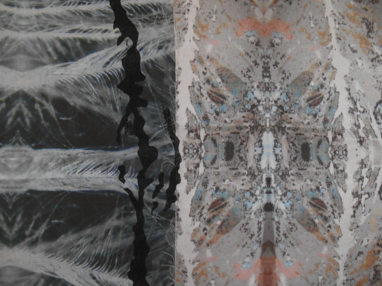 Feather and Bone IV detail