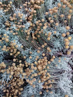 Crystallographic Balance