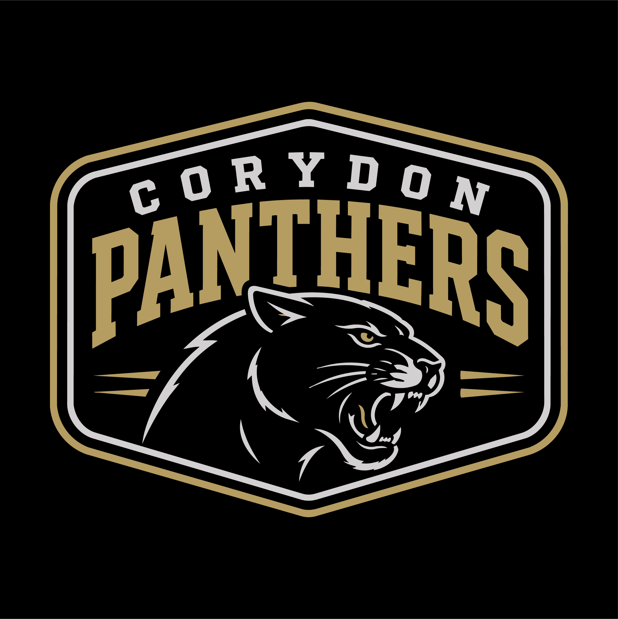 Black and Gold Panthers Logo.png