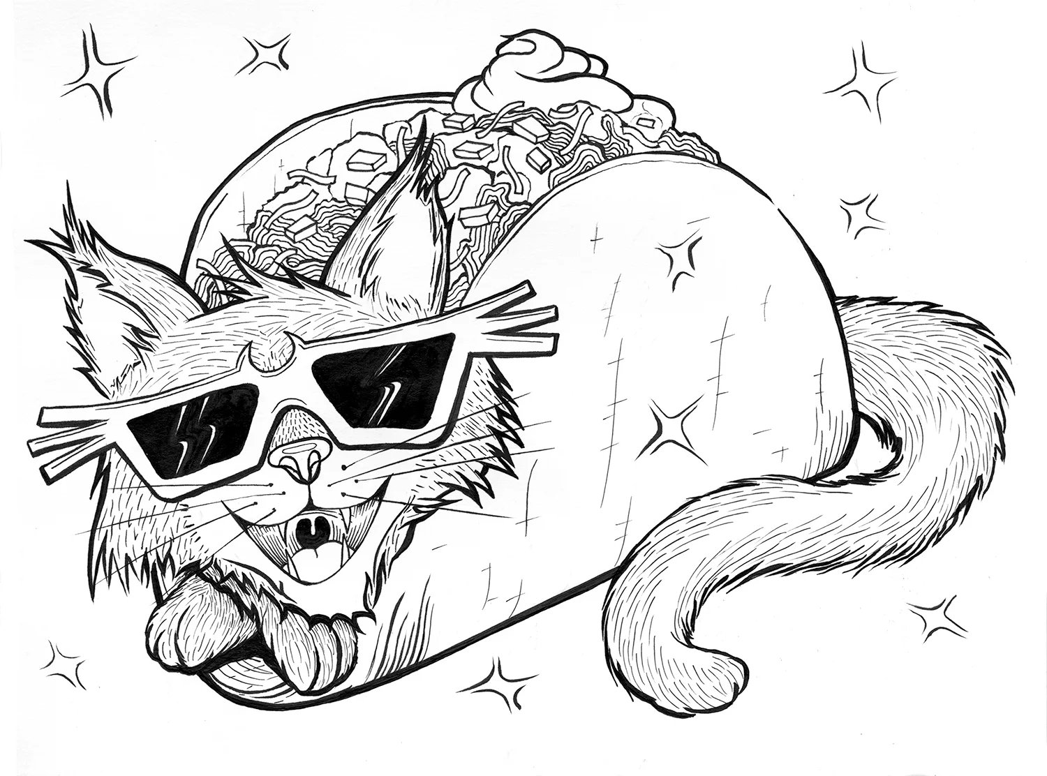 Tacocat.jpg
