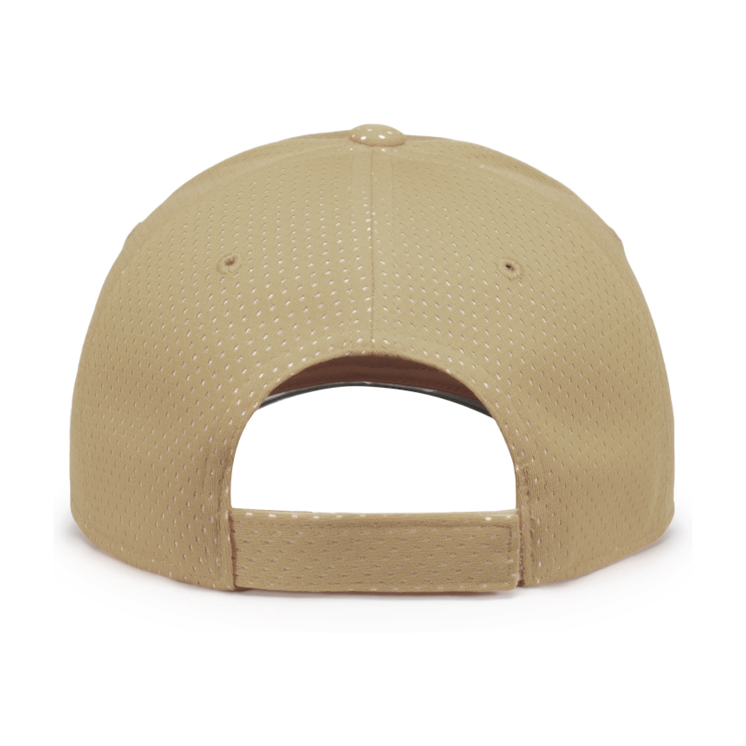 Panther Gold Hat BACK.png