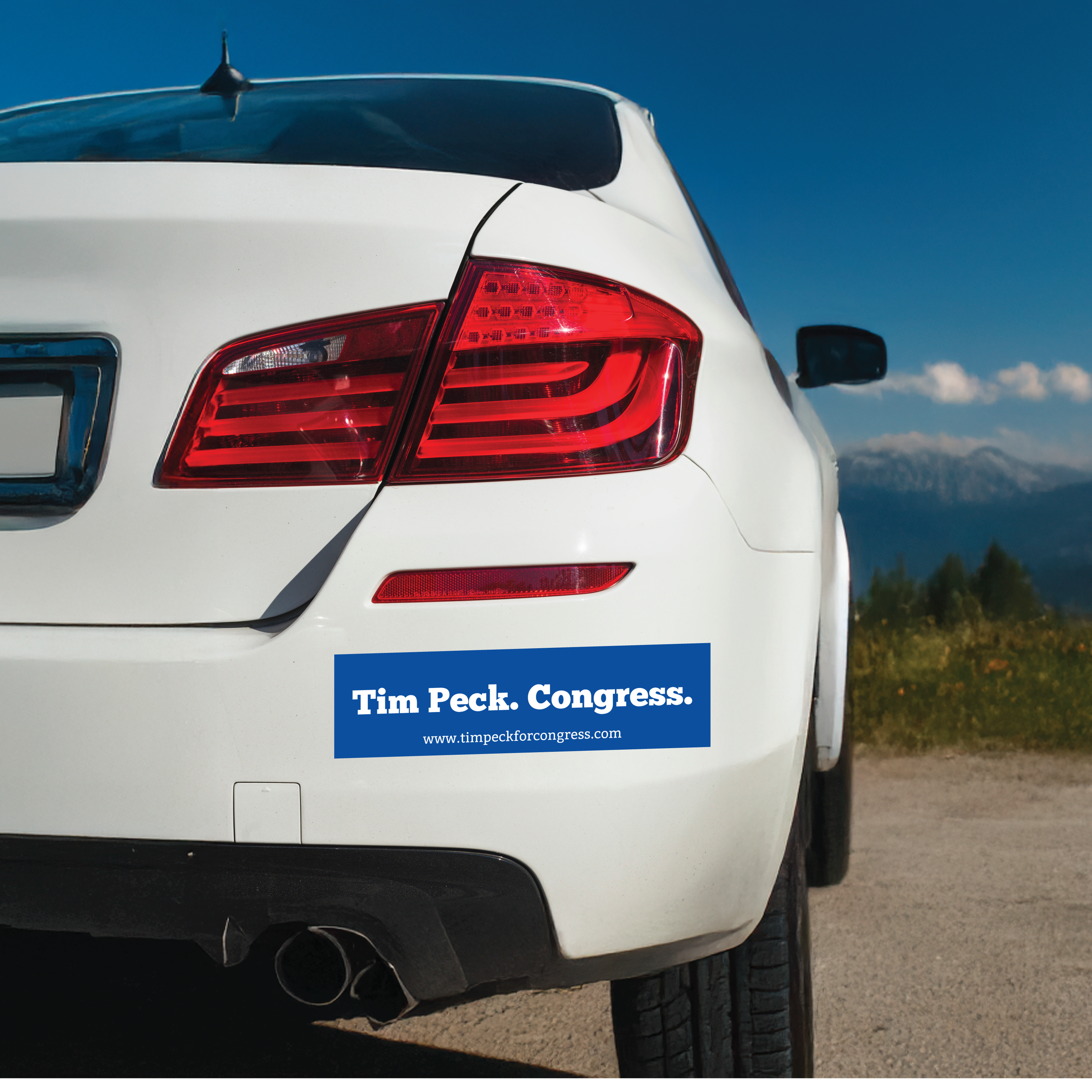 BUMPER STICKER 11X3.png