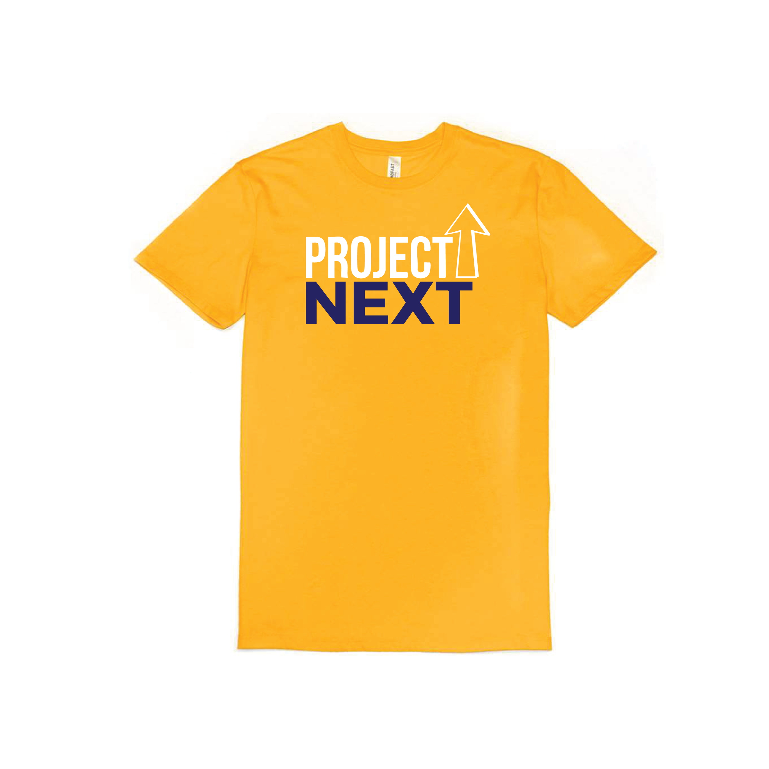 PROJECT NEXT PRESENTATION-28.png