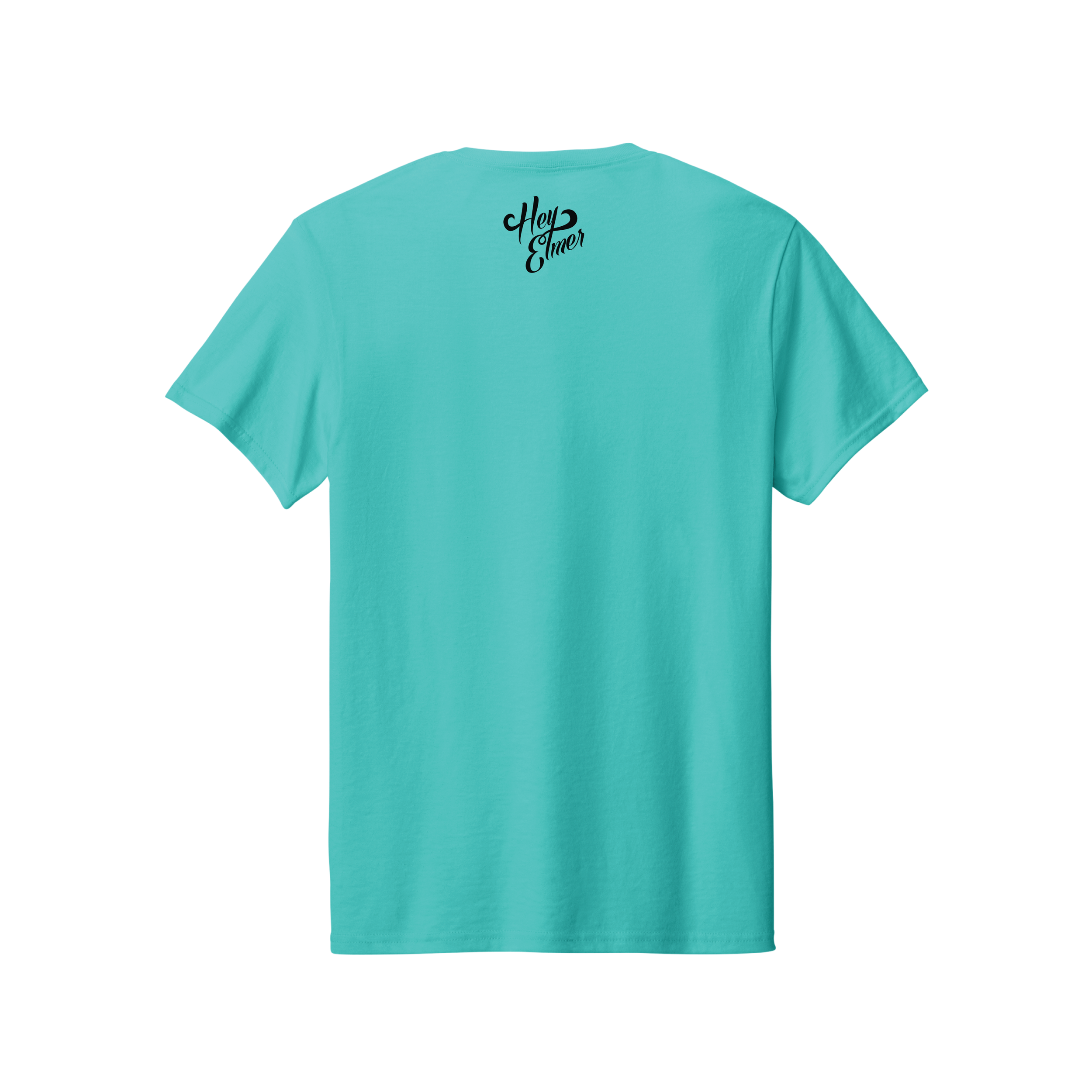 TAKE THE TRAILS TEAL BACK.png