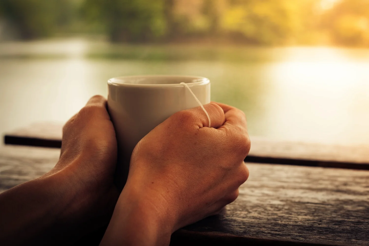 No: How This Tiny Word can Change Your Life