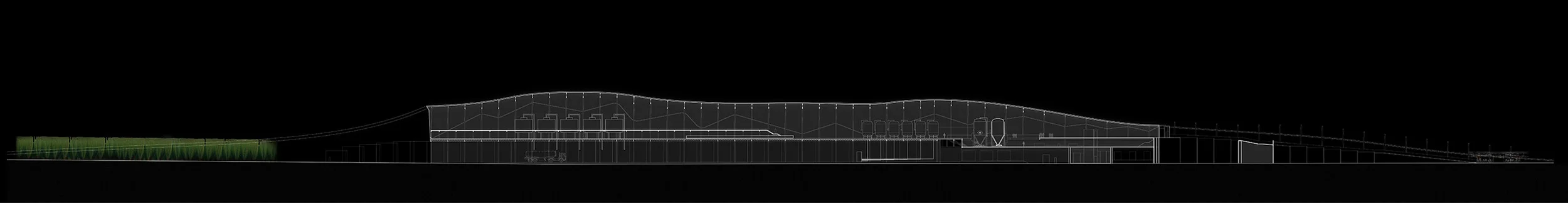  longitudinal section 
