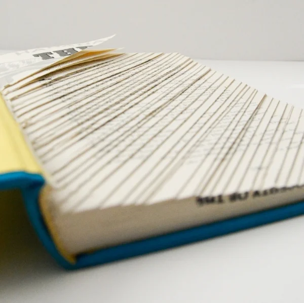  Slicing every single page creates a new narrative that is read through the book itself instead of the words. 