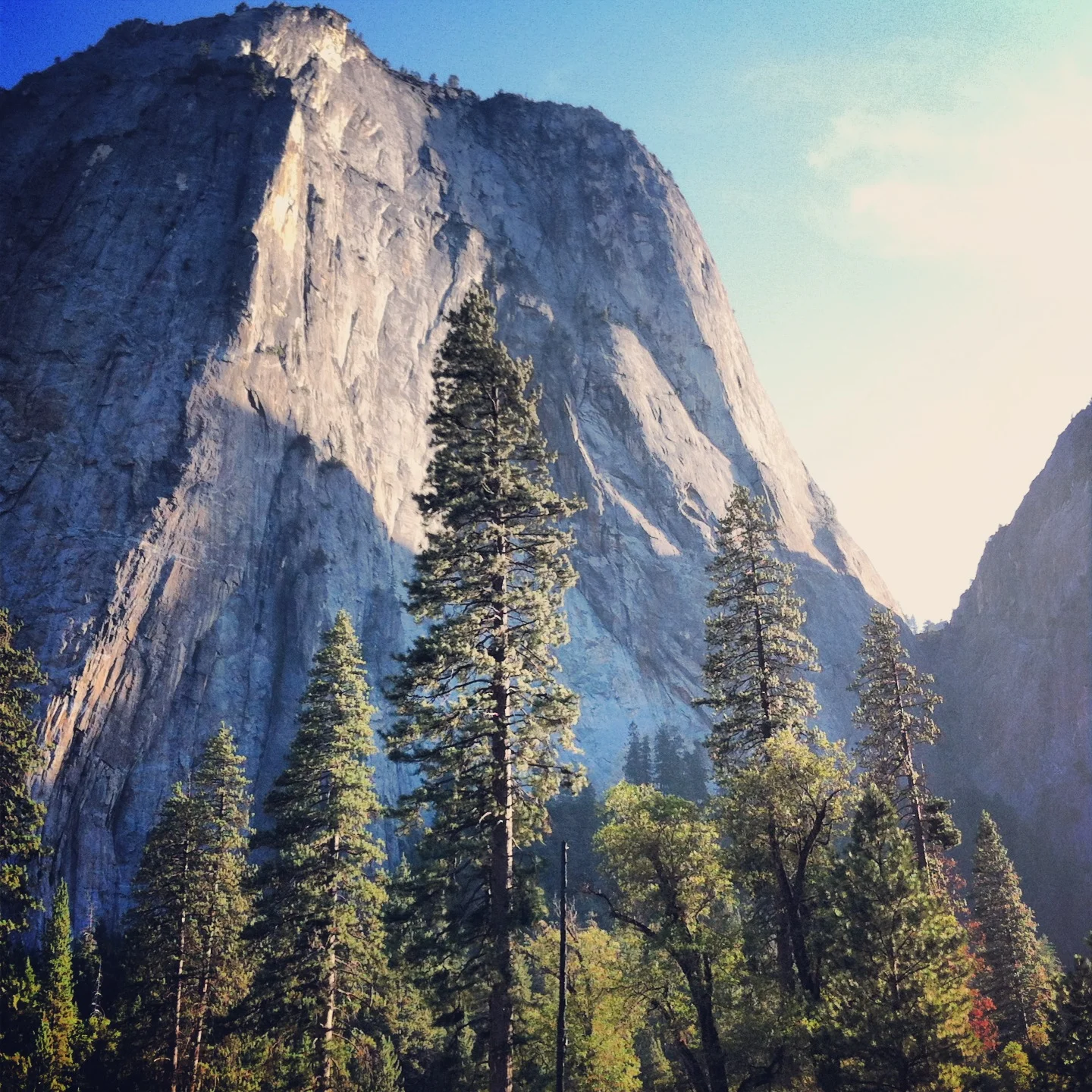  el capitan, yosemite national park 