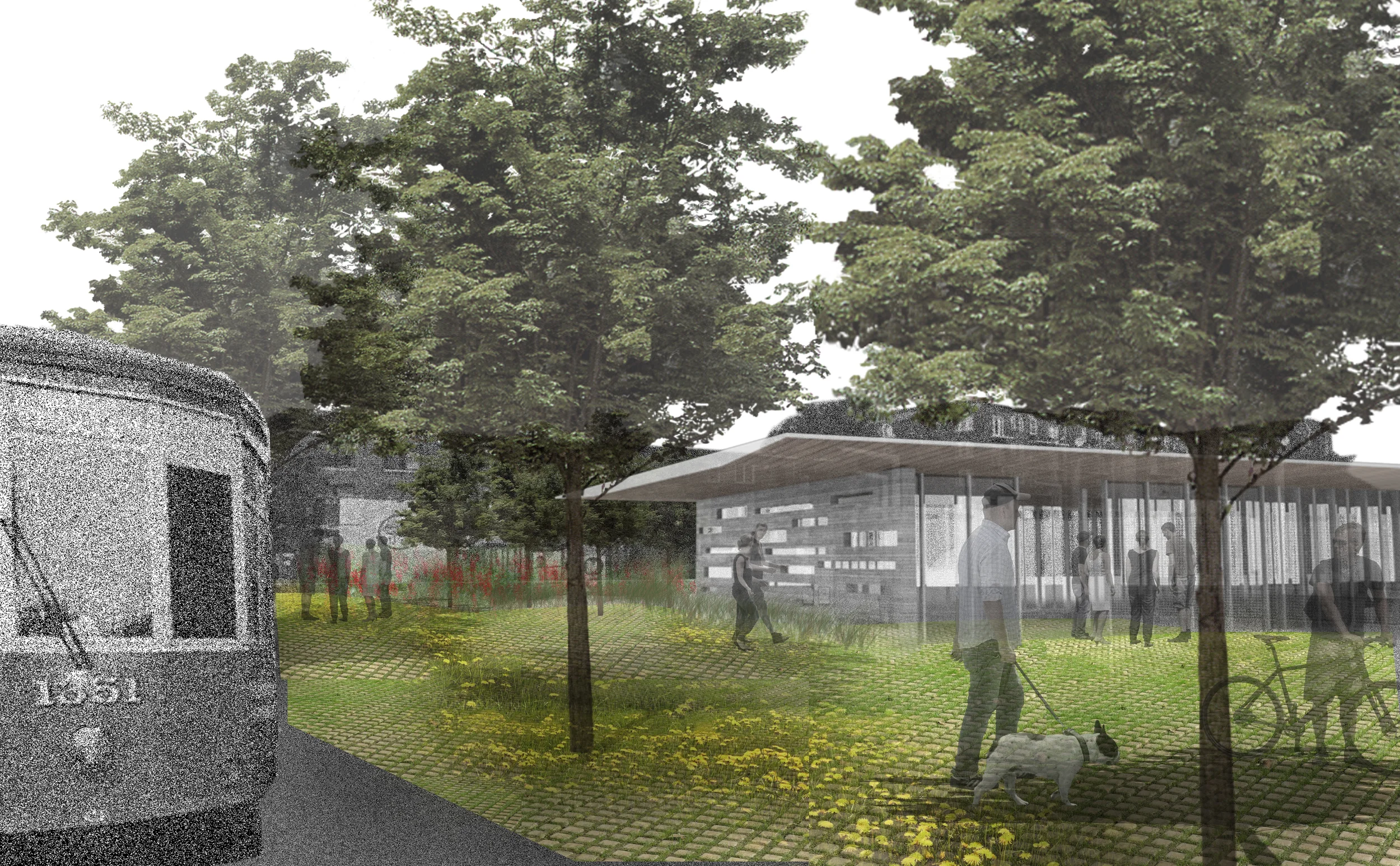 611_Lima_ShripkaEric_SP15_Image 12.jpg