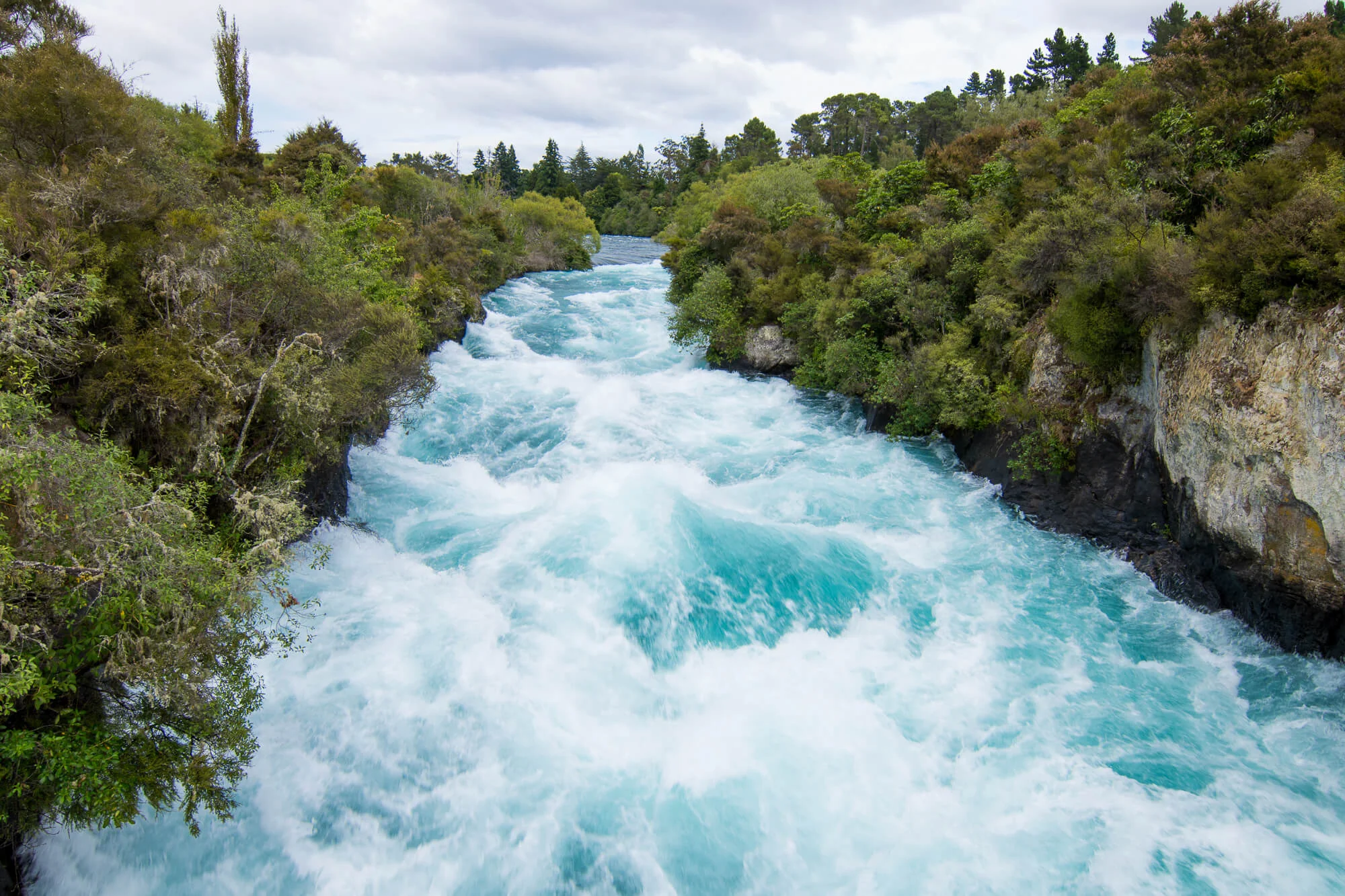 NewZealand (41 of 169).jpg