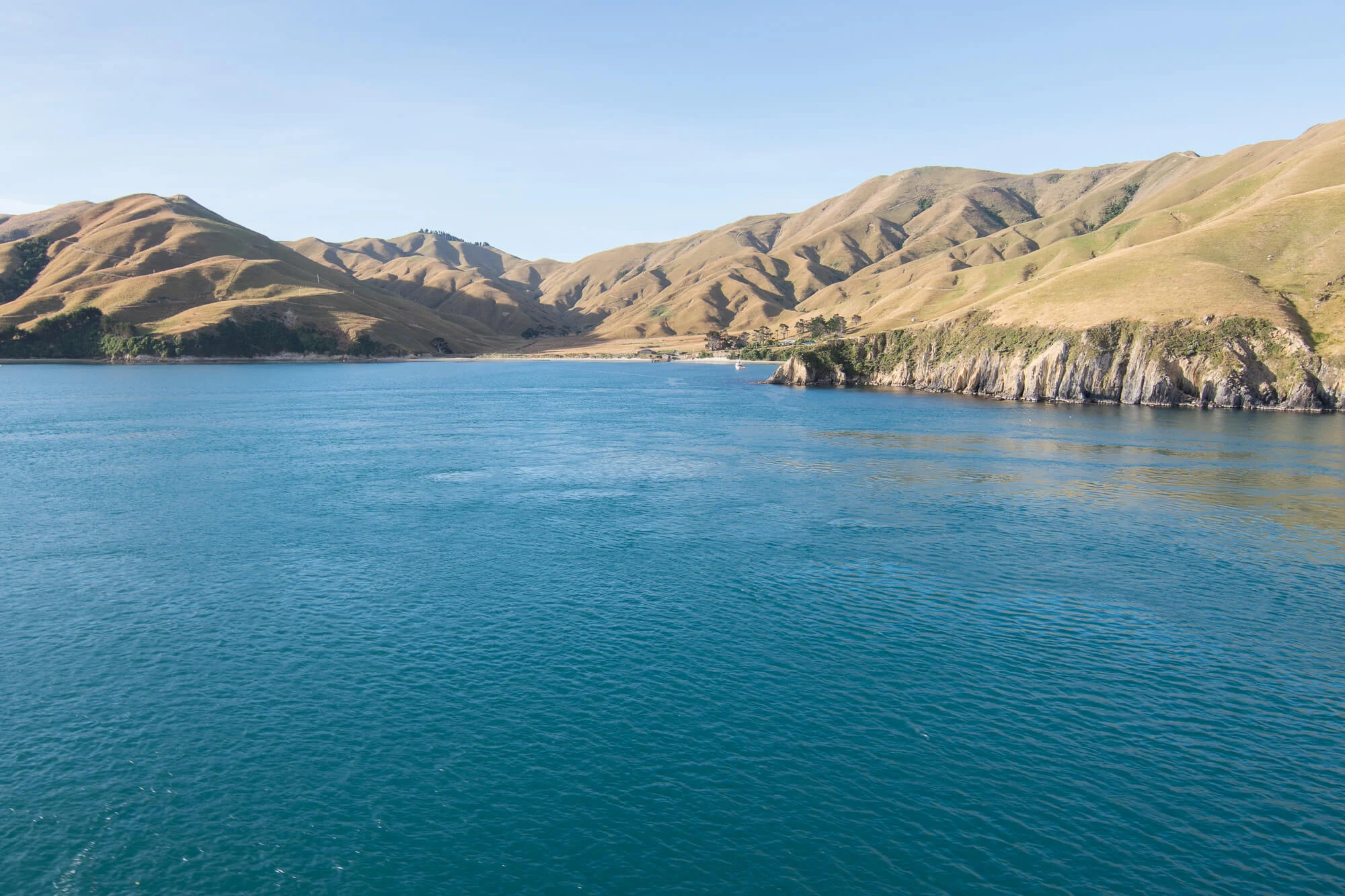 NewZealand (47 of 169).jpg