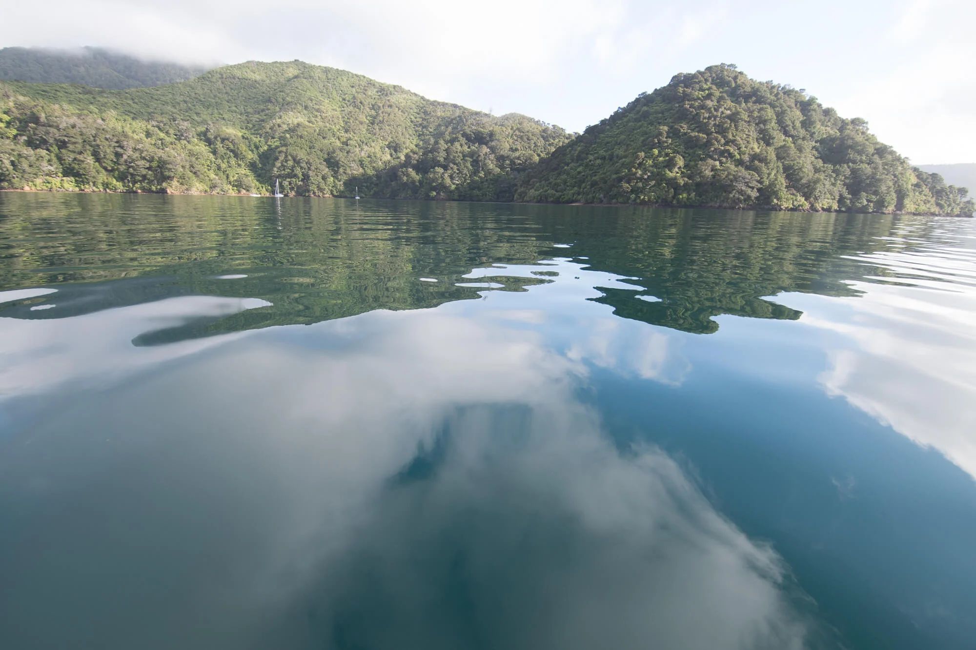 NewZealand (106 of 169).jpg