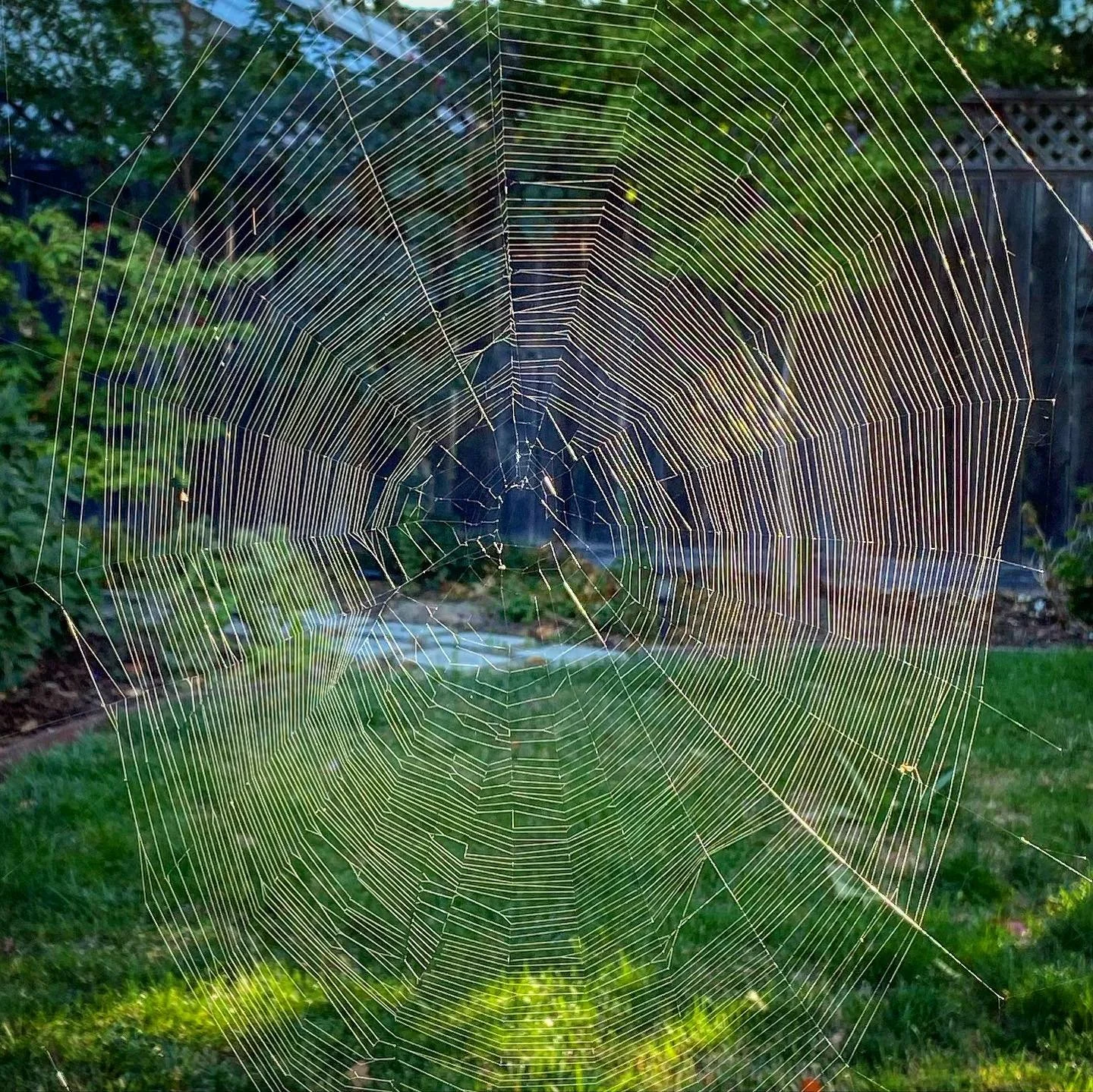 Enzo had a birthday road trip. We tagged along. Twin Squash. Pet spider. Good friends. Dog party. National park. River floats. Mountain biking. And a great time with  @erikavinevita 
#santarosa
#bend
#deschutesriver 
#twinsquash
#roadtrip
#craterlake