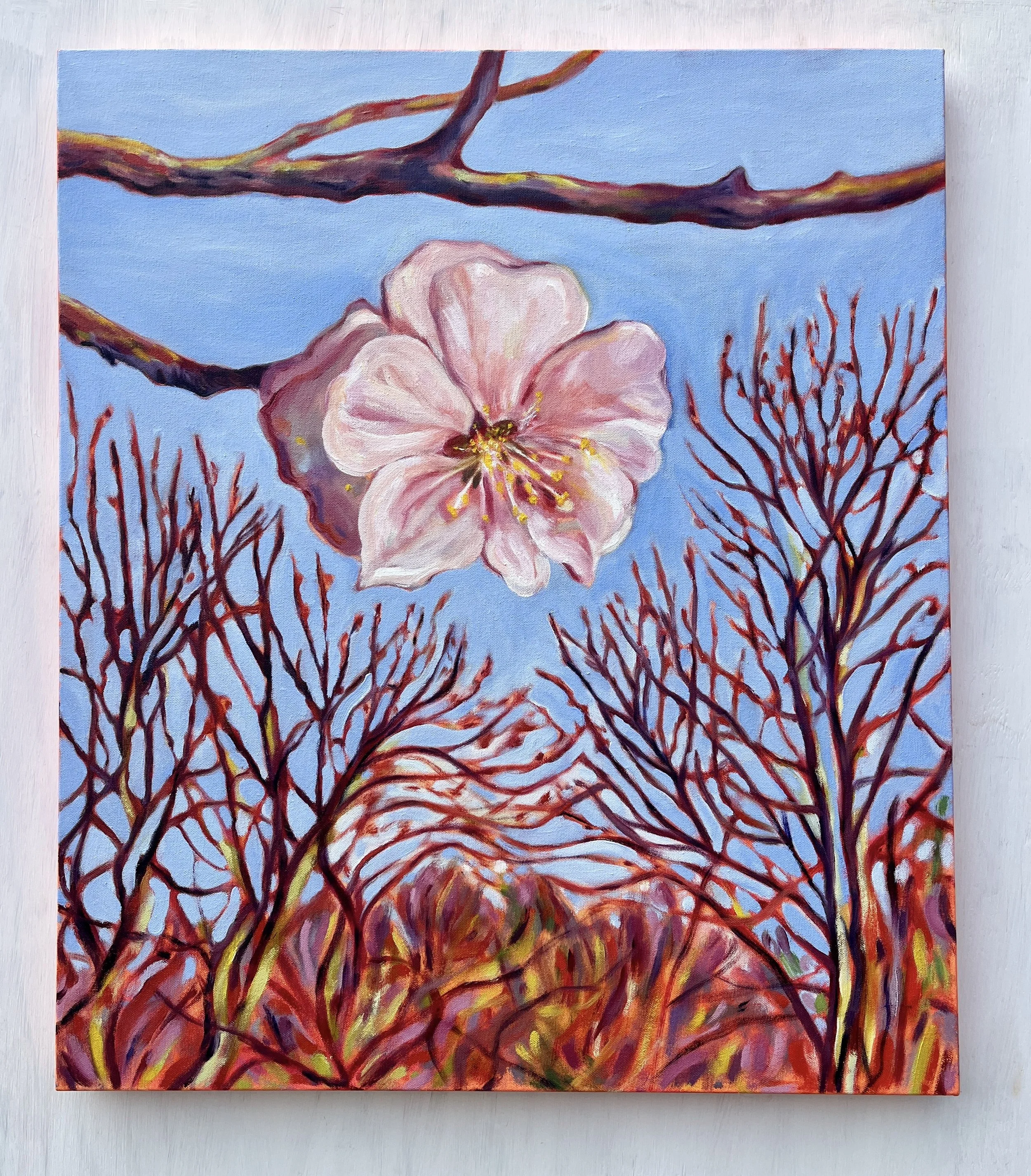Bloom Rise, 2026 | acrylic and oil on canvas | 28 x 24 inches 