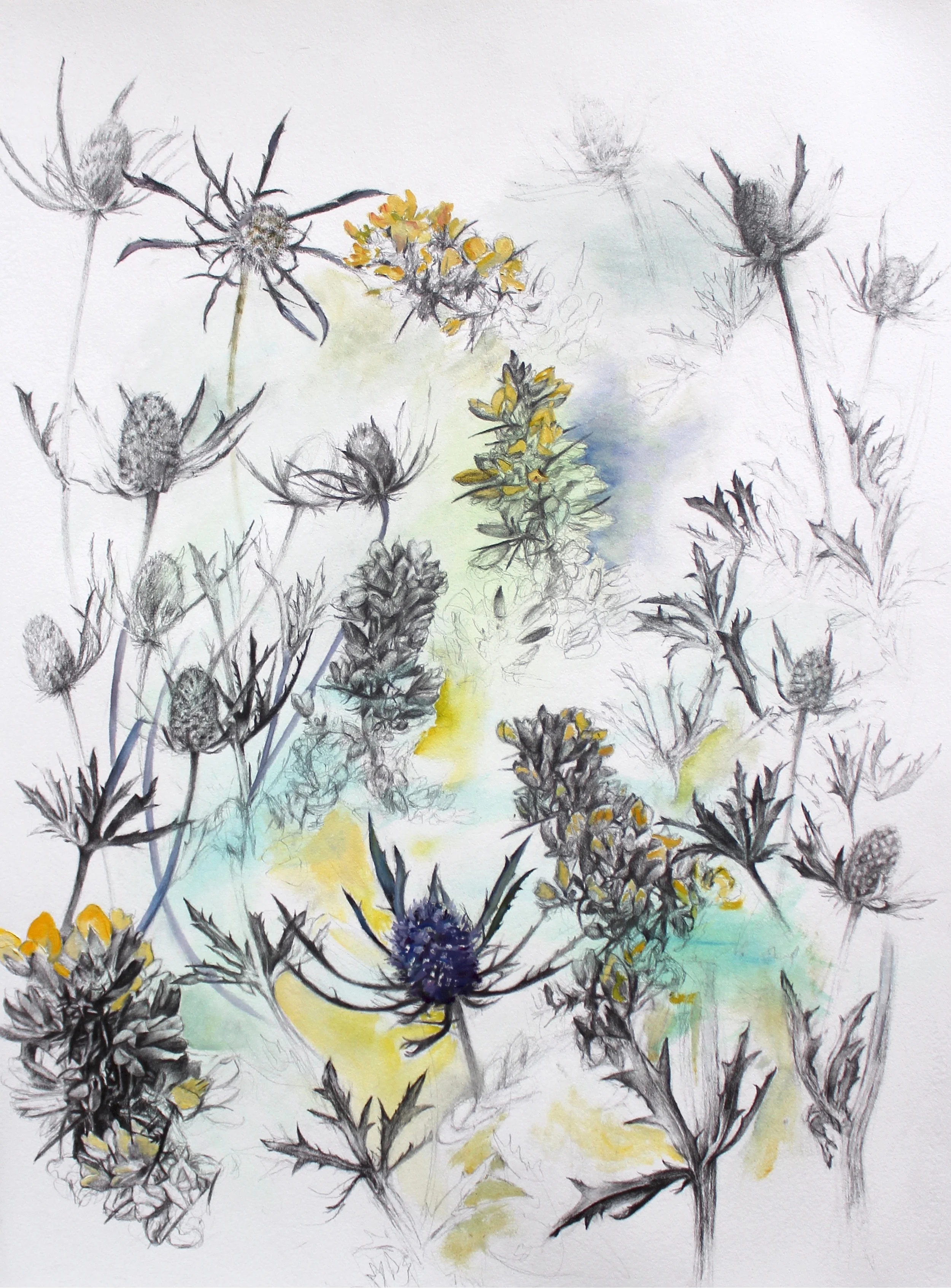 Invenire, 2015, 30 x 23 inches (sold)