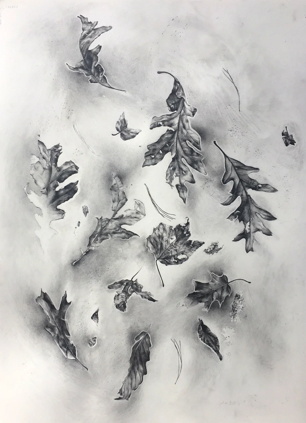 Forest Floor Filgaree, 2019, 30 x 22.25 inches
