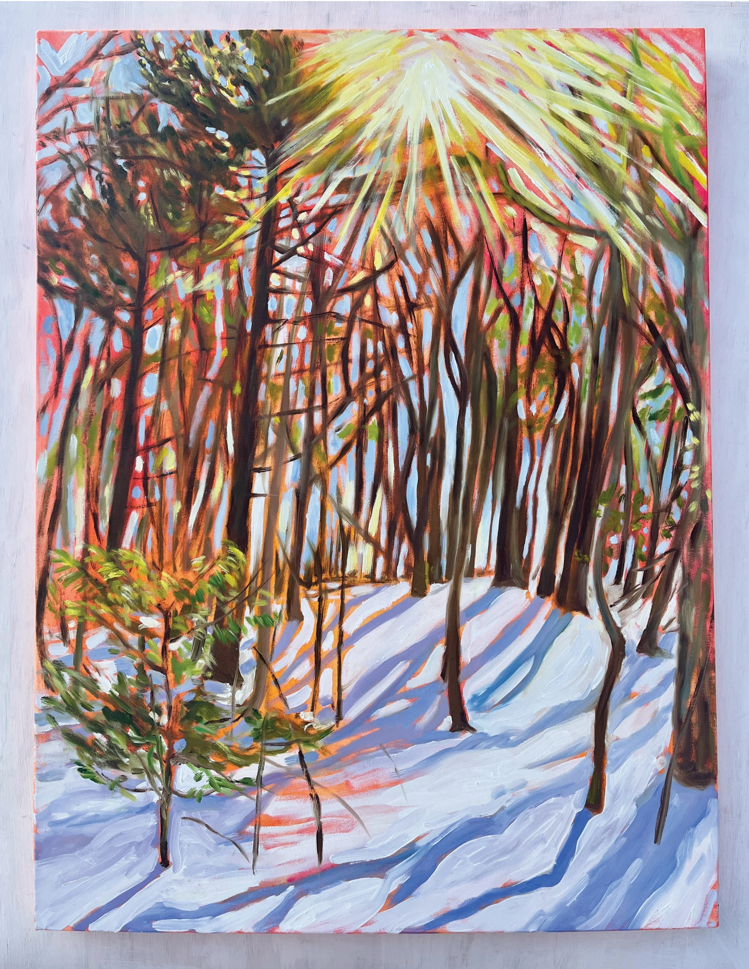 Pines, Sun and Snow, 2026 | acrylic and oil on canvas | 40 x 30 inches 