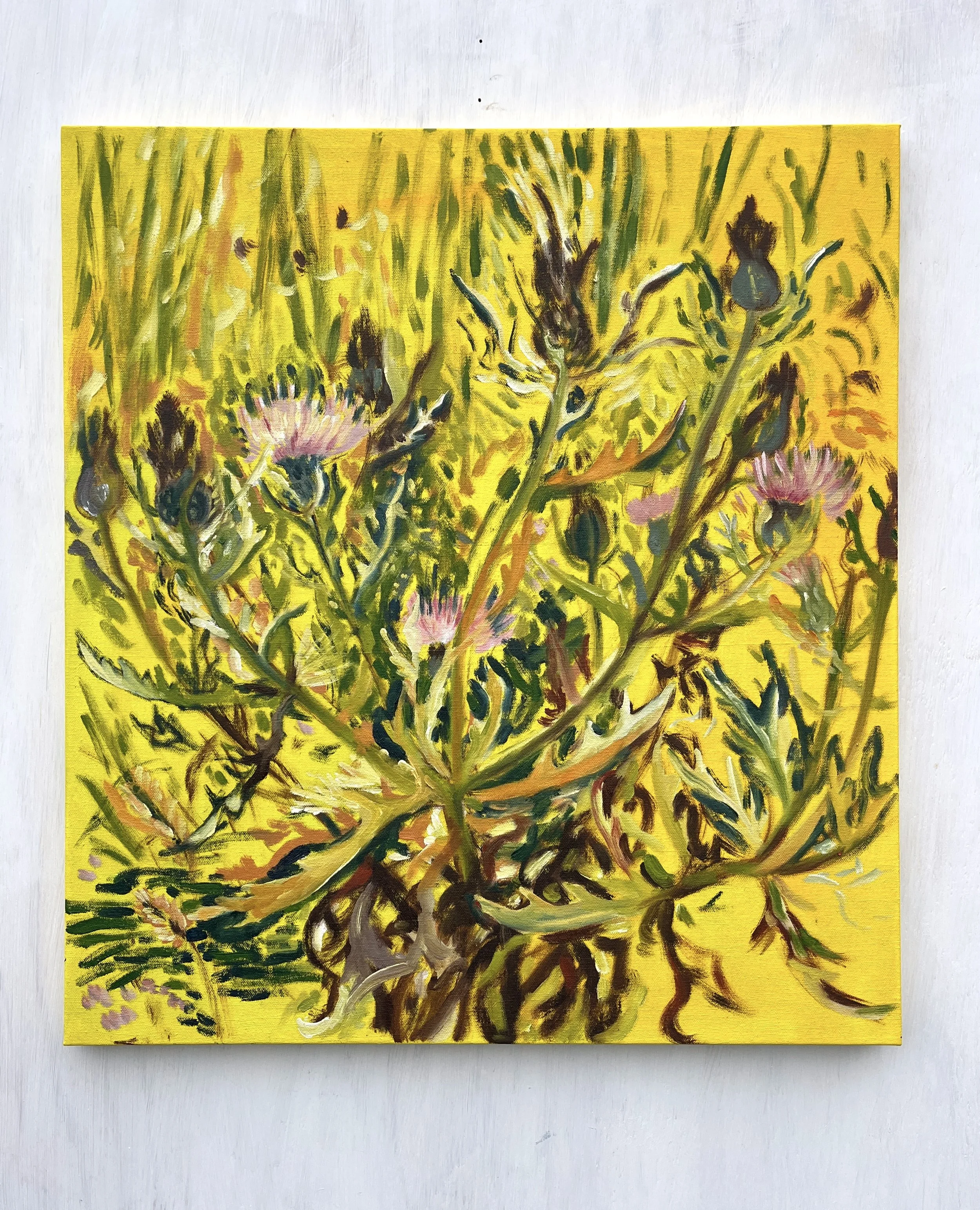 Field Thistle, 2025 | oil and acrylic on canvas | 24 x 22 inches