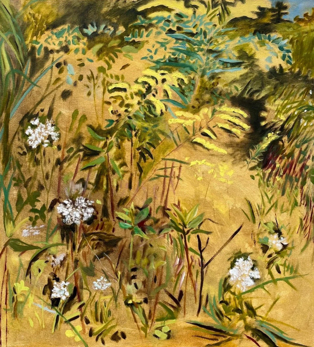 Fall Meadow copy.jpg