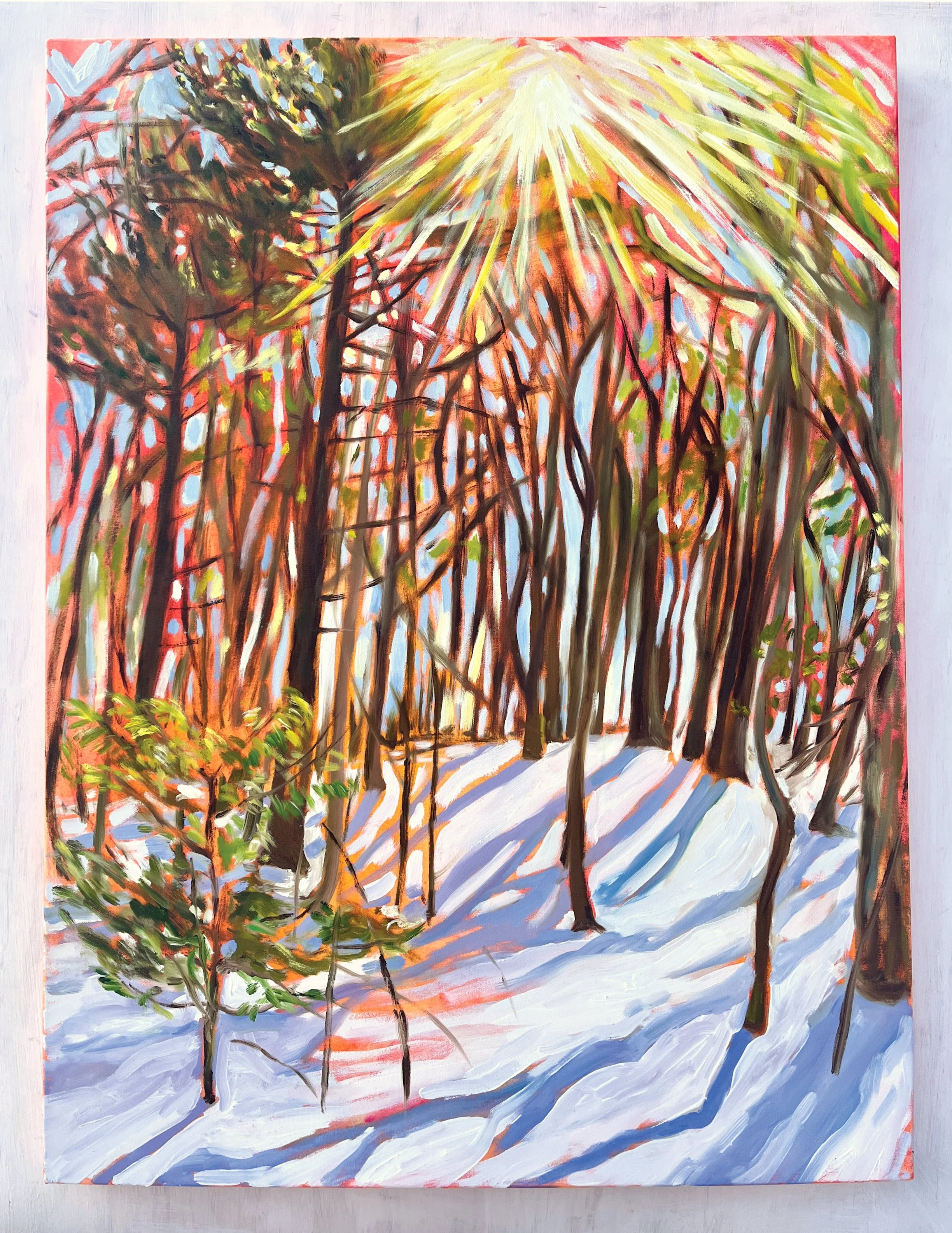 Pines, Sun and Snow, 2026 | acrylic and oil on canvas | 40 x 30 inches 