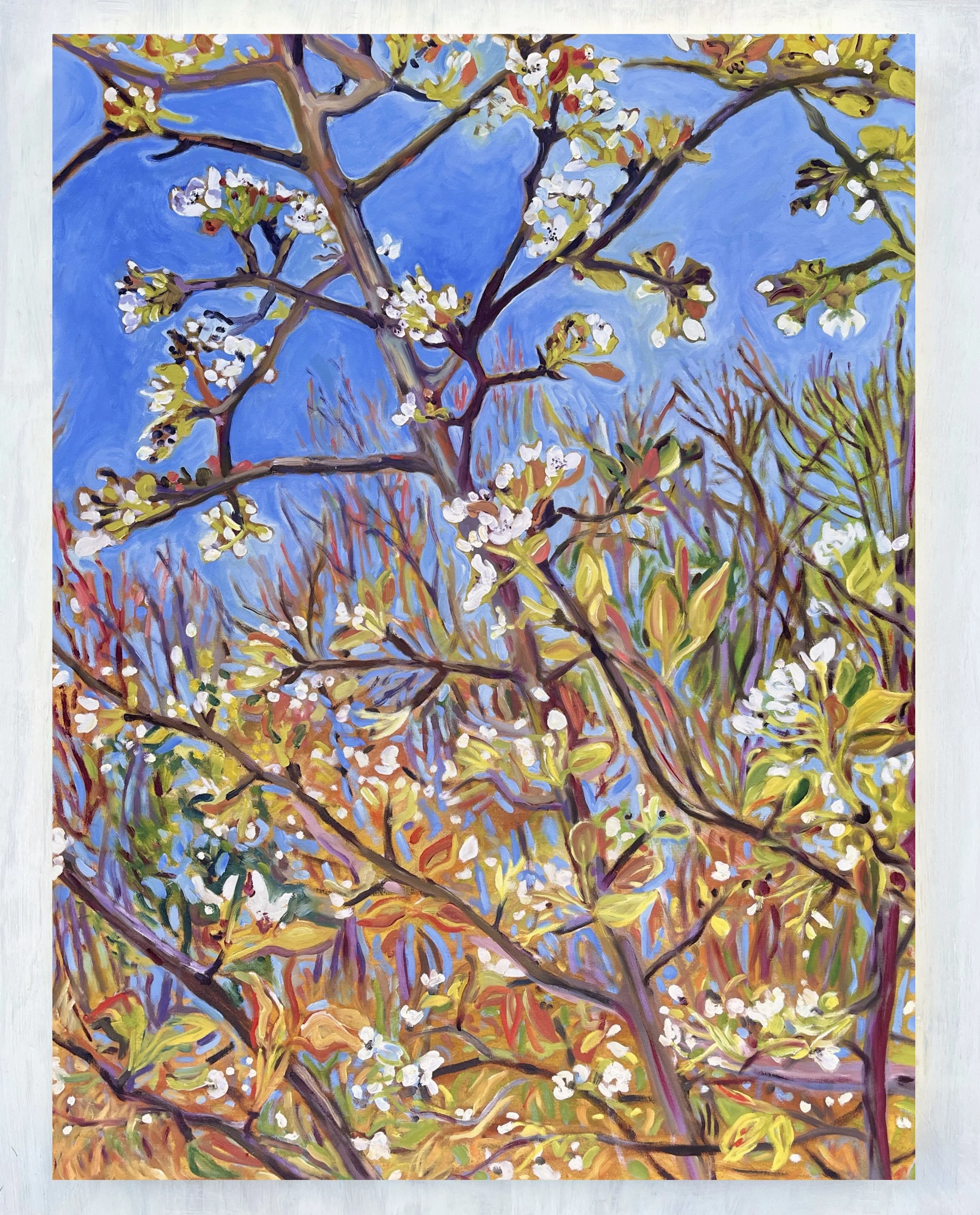 Pear Tree in Blue, 2026 | acryic and oil on canvas | 48 x 36 inches
