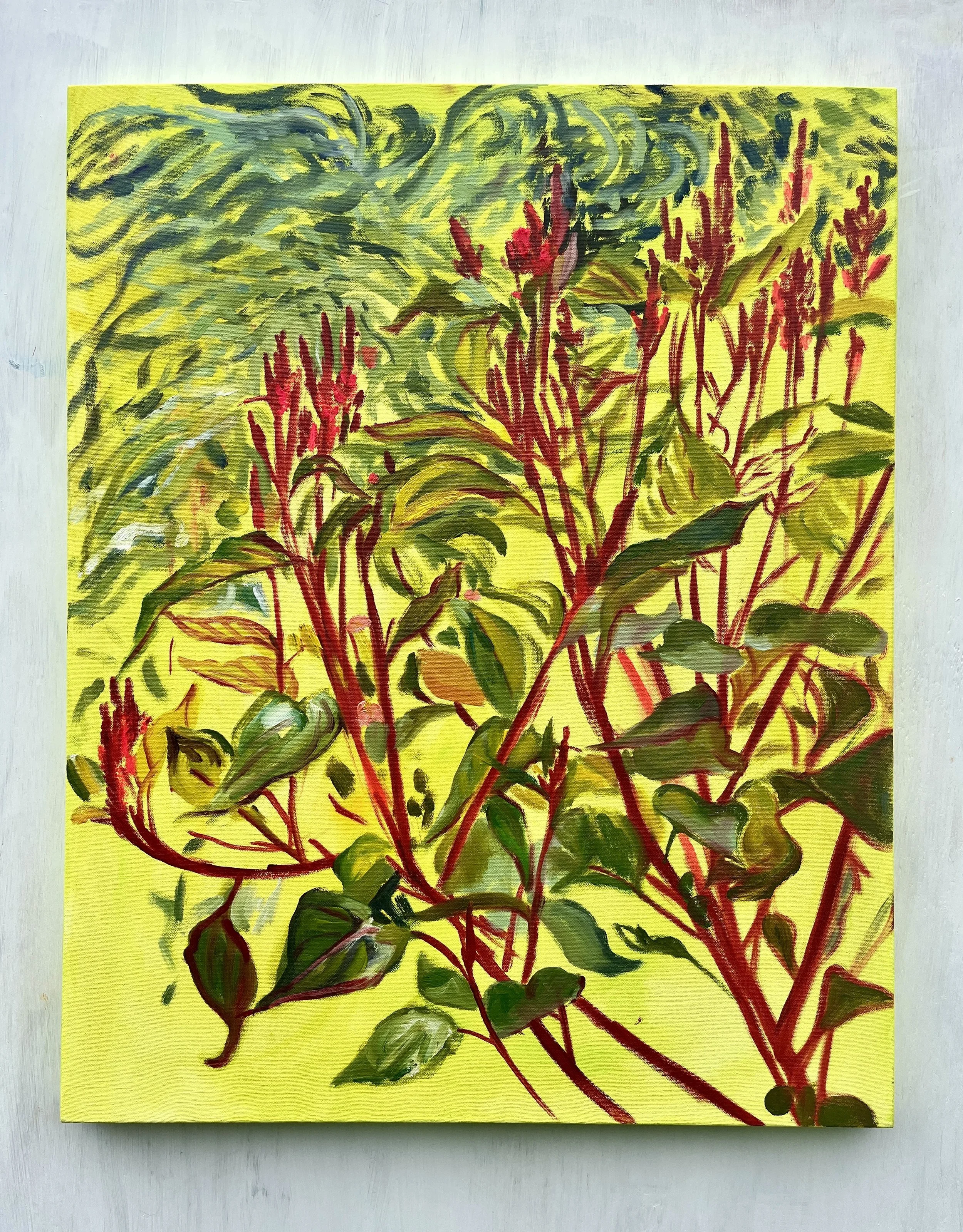 Celosia and Asparagus Flowers, 2025 | oil and acrylic on canvas | 30 x 24 inches