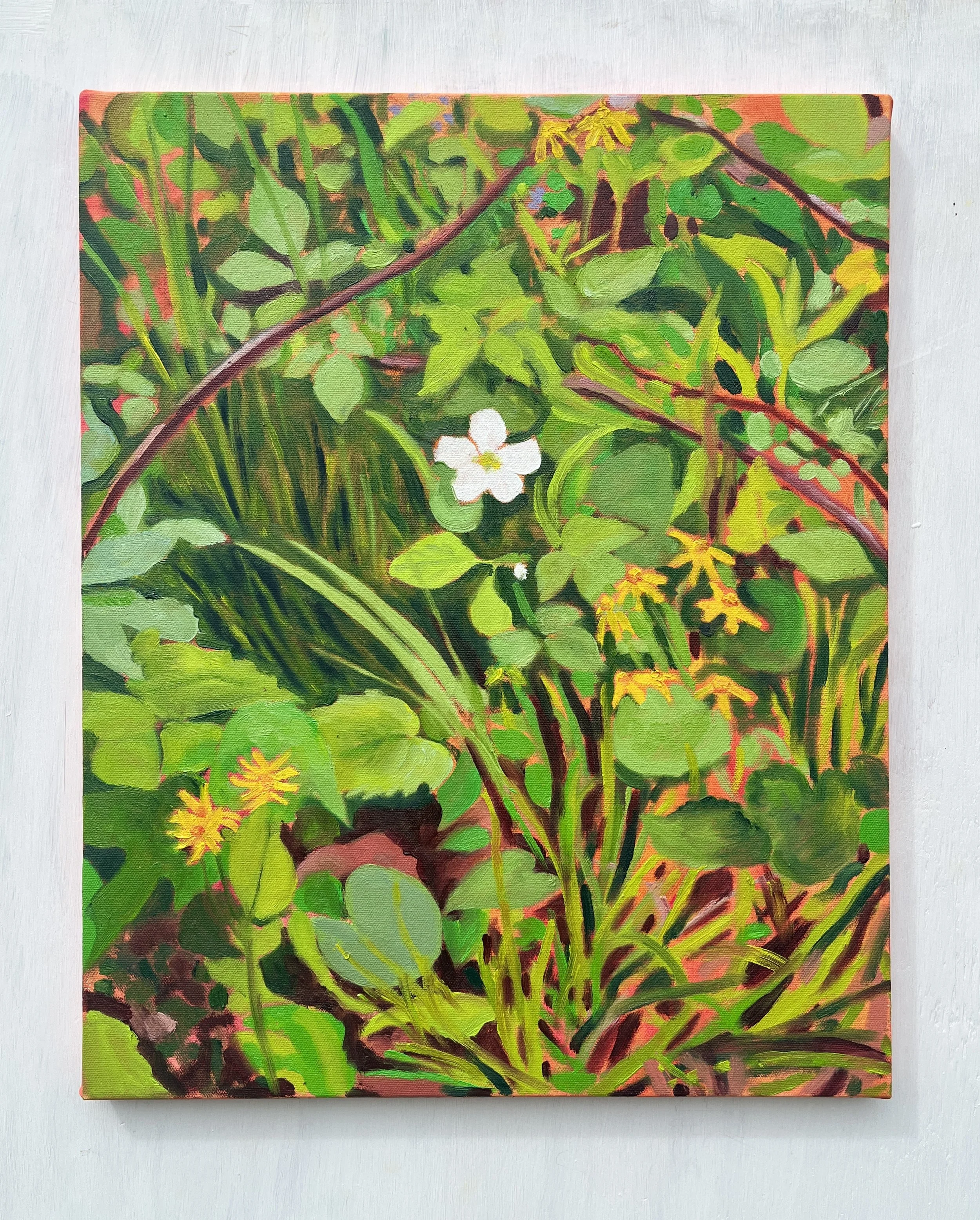 Understory (blackberry flower and golden groundsel), 2026 | acrylic and oil on canvas | 20 x 16 | sold