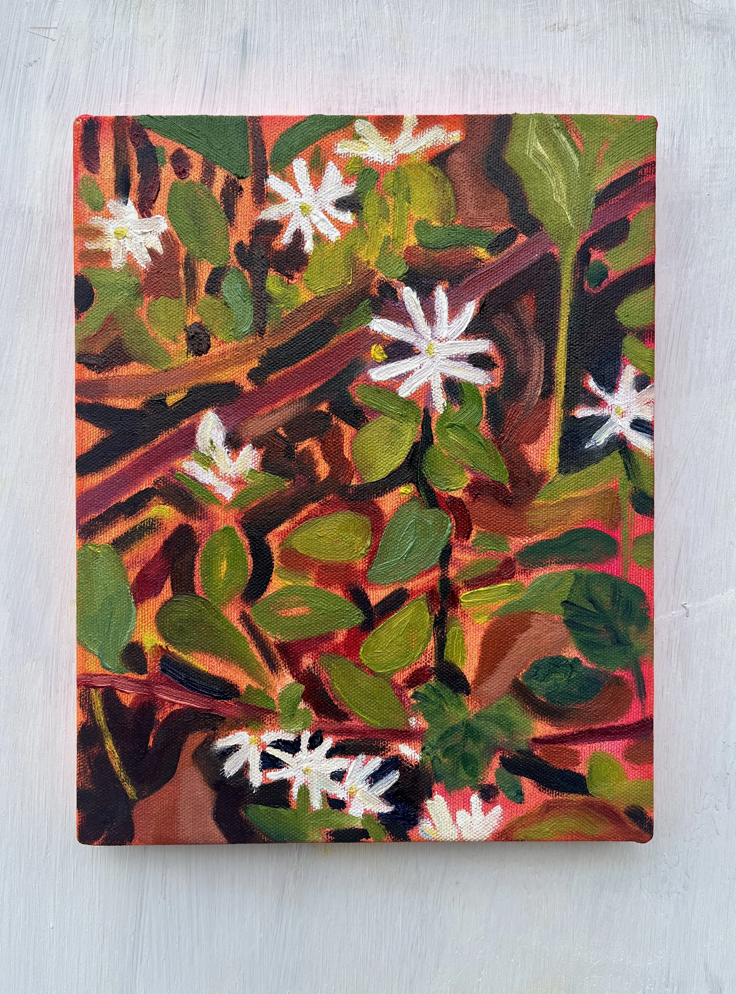 Aster 1, 2026 | acrylic and oil on canvas | 10 x 8 inches
