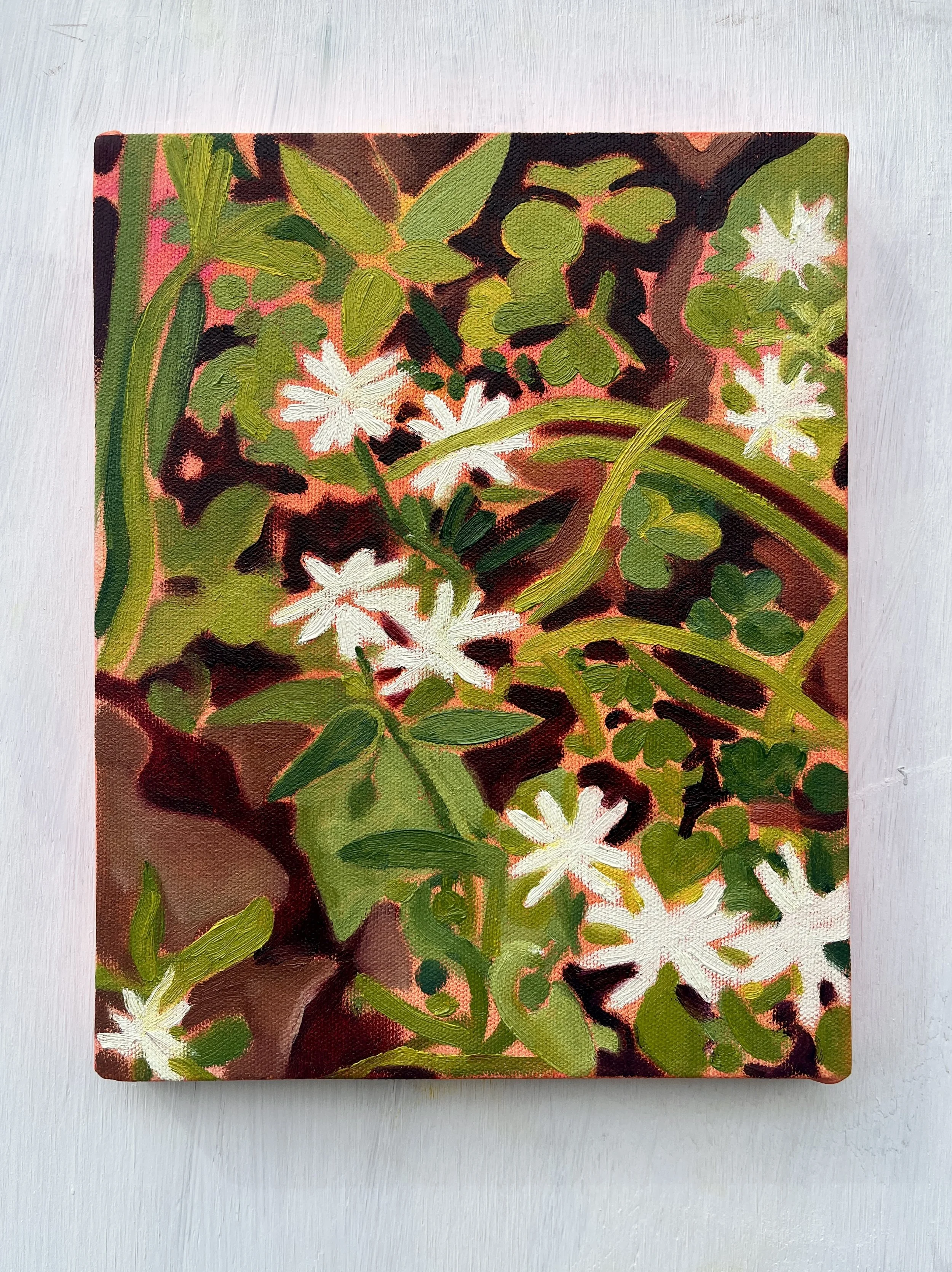 Aster 2, 2026 | acrylic and oil on canvas | 10 x 8 inches 