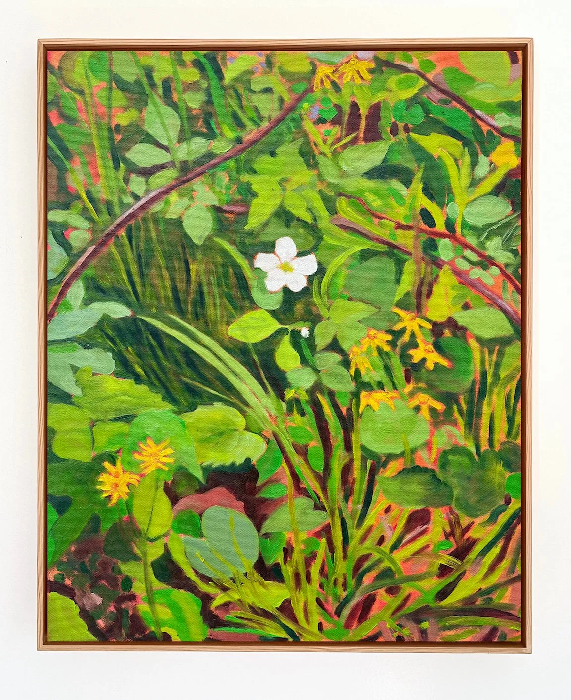 Understory (blackberry flower and golden groundsel), 2026 | acrylic and oil on canvas | 20 x 16 | sold