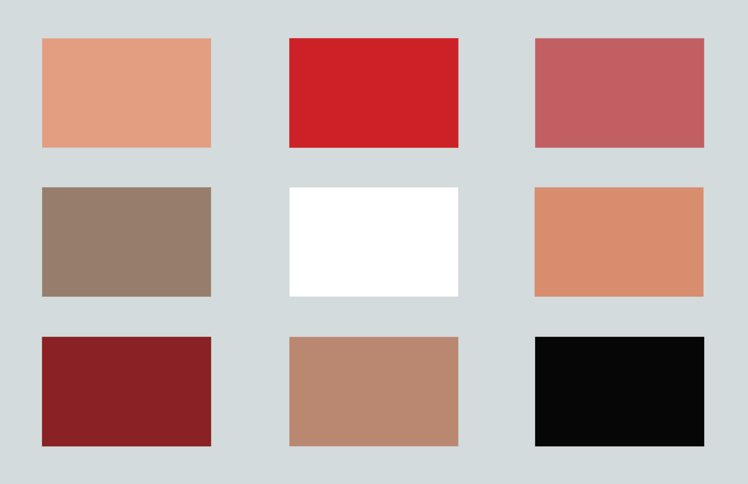 ColorStoryMsucles.png