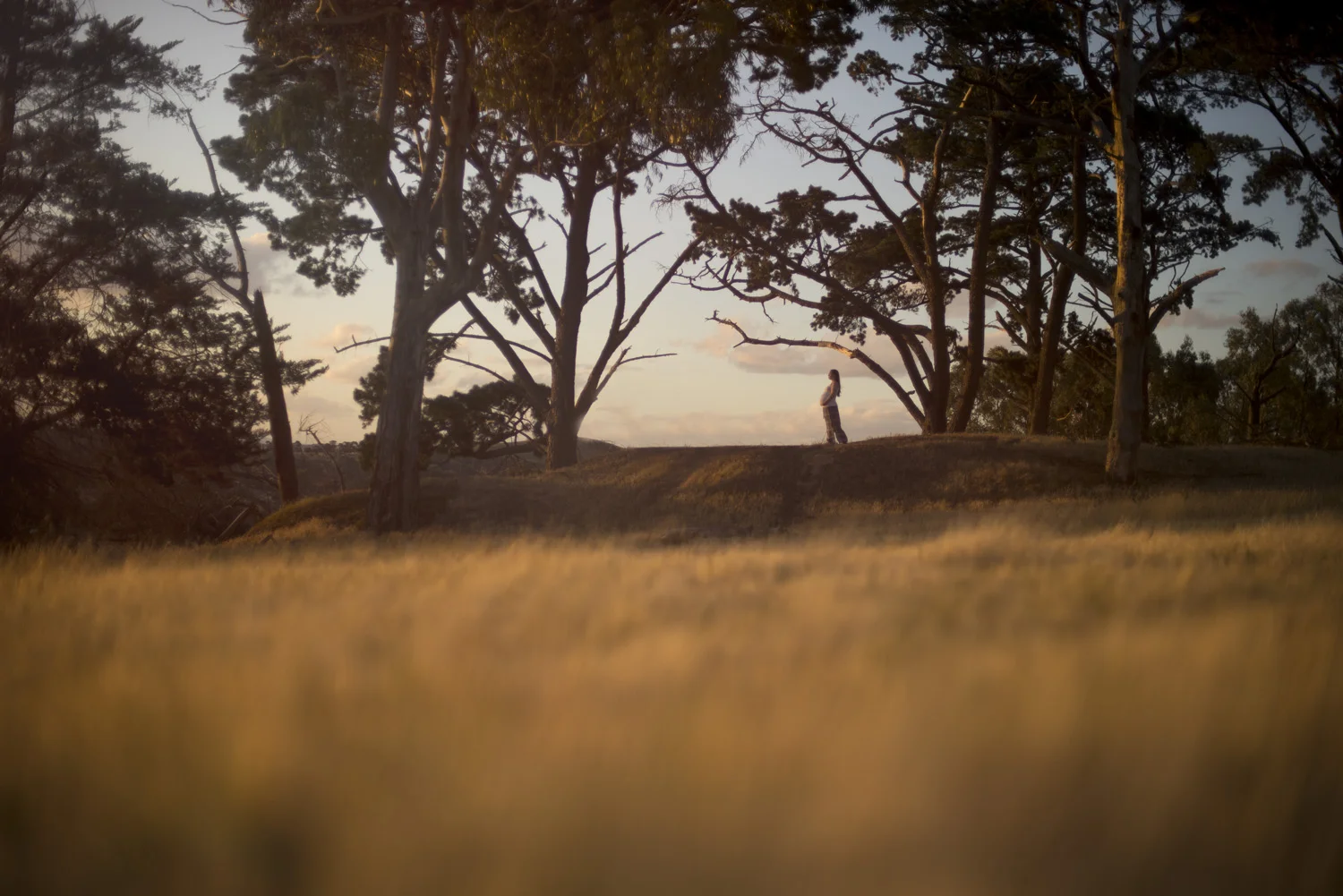 Rachel_Breier_Photography_Maternity_Photographer_Melbourne_16.jpg