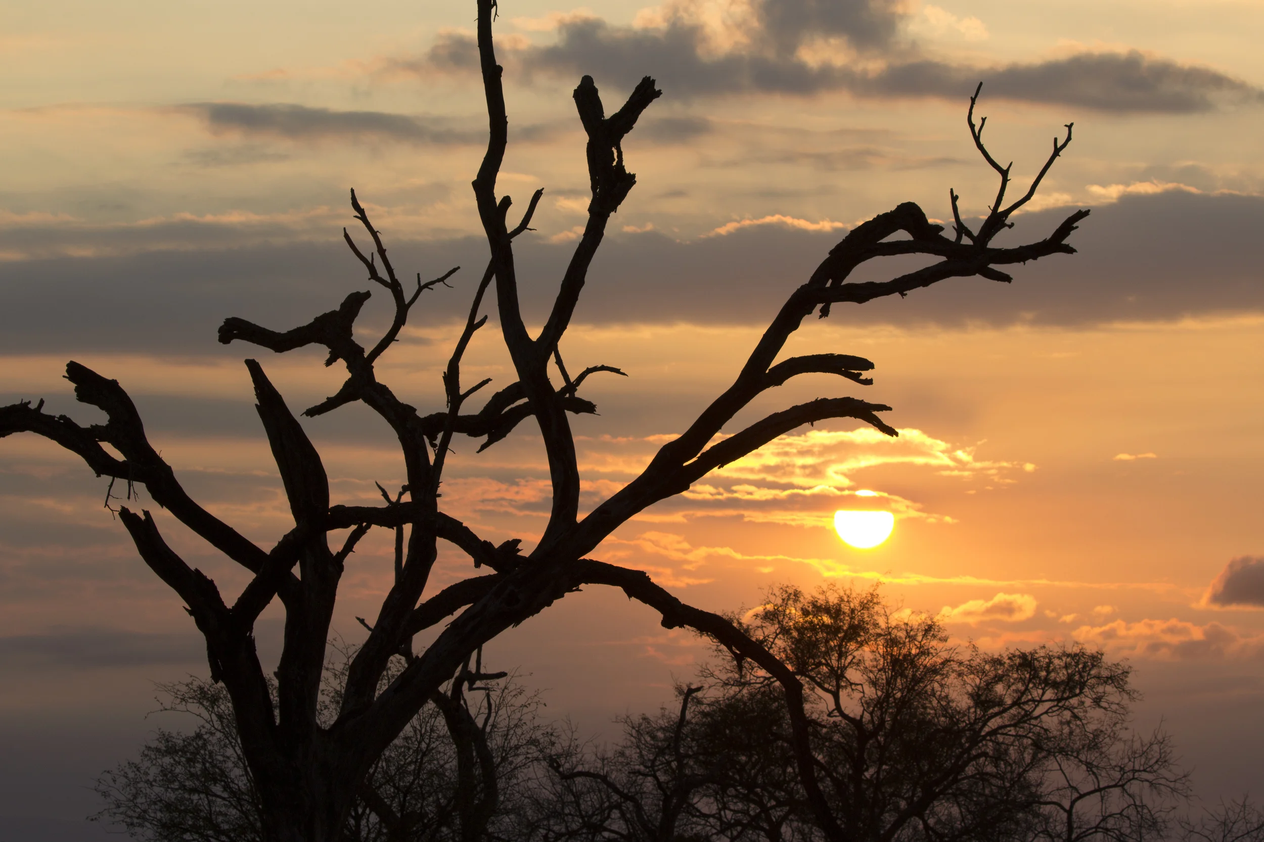 Kruger Sunset