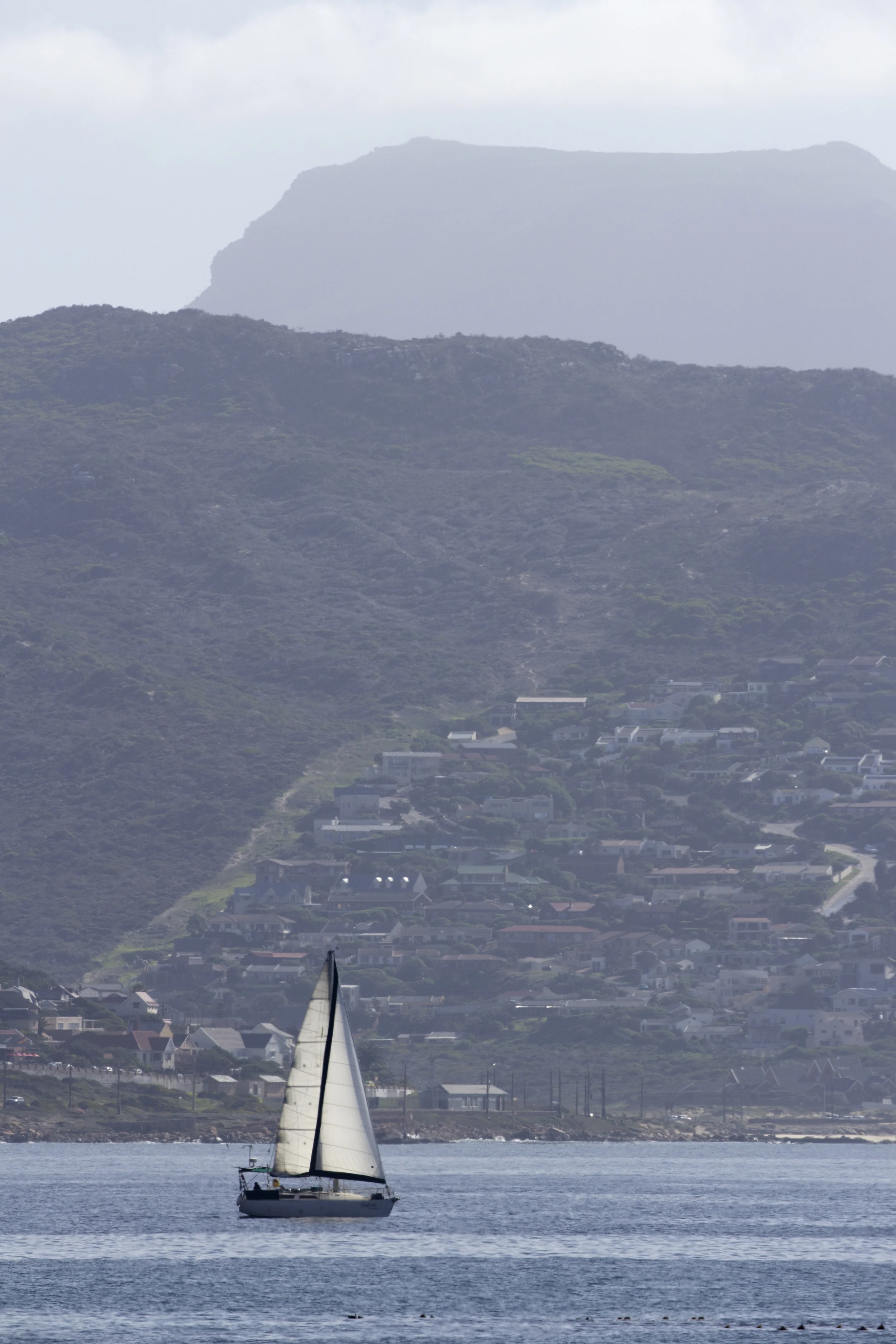 Cape Peninsula Sailboat 2