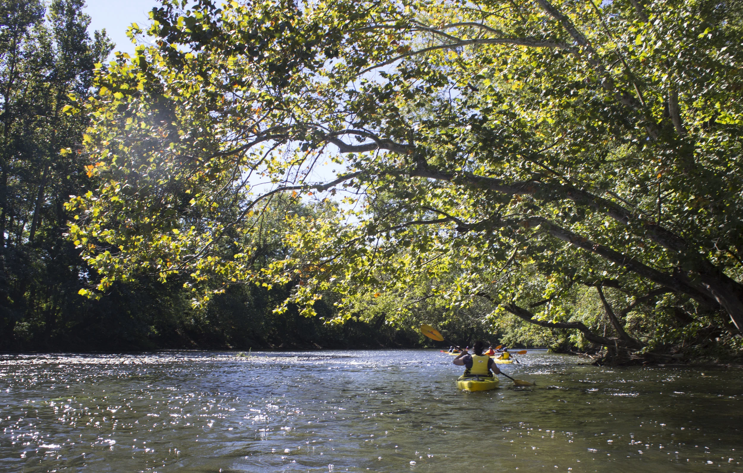Beaver River