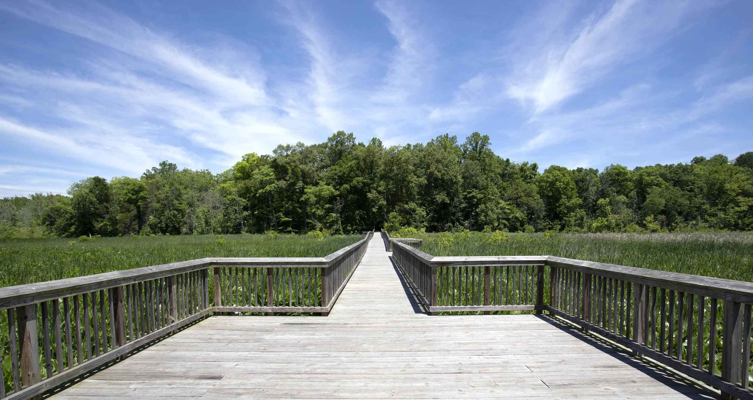 Crows Nest Natural Area, Virginia 2019