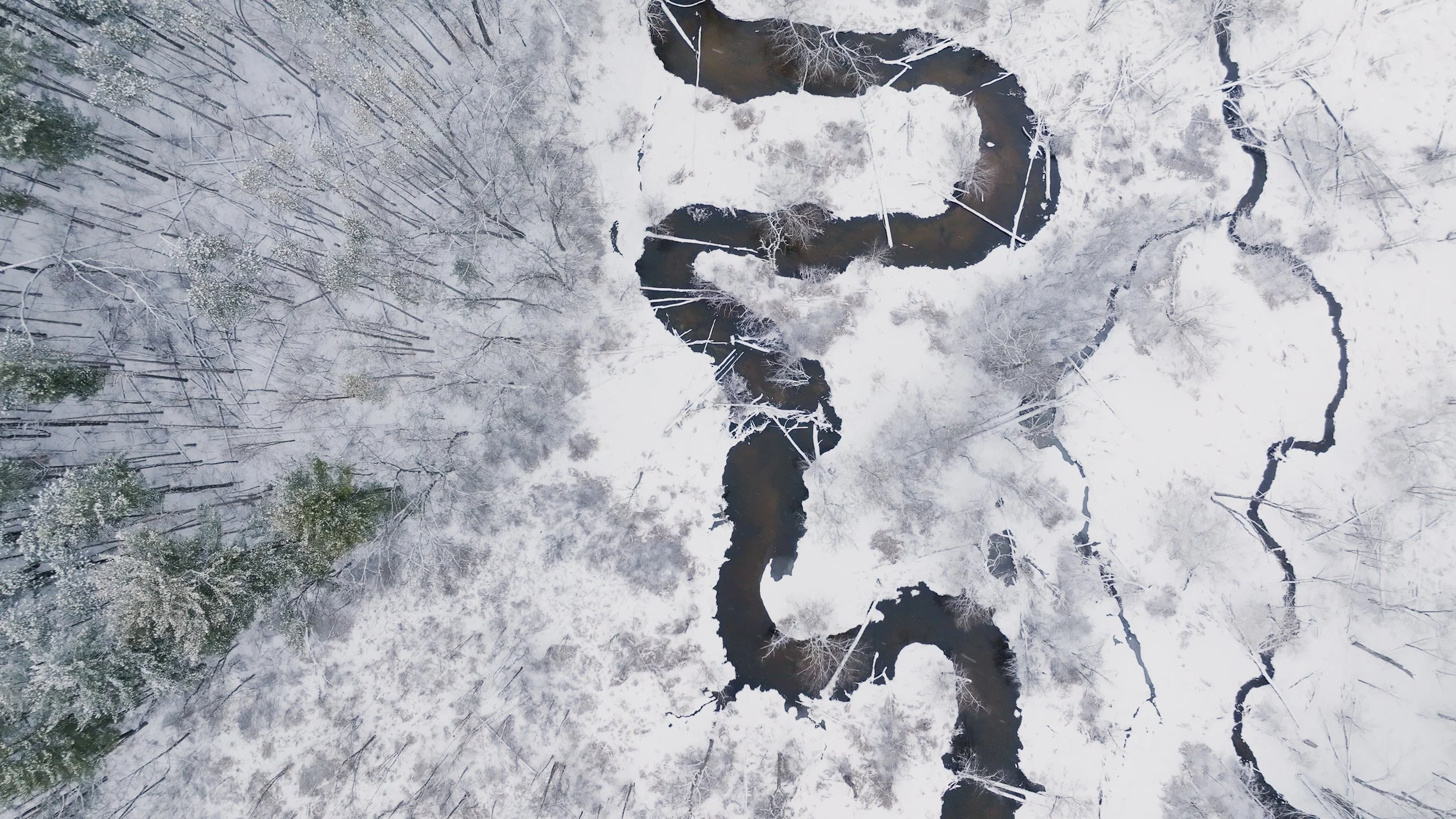 Rose Lake Wilderness.jpg