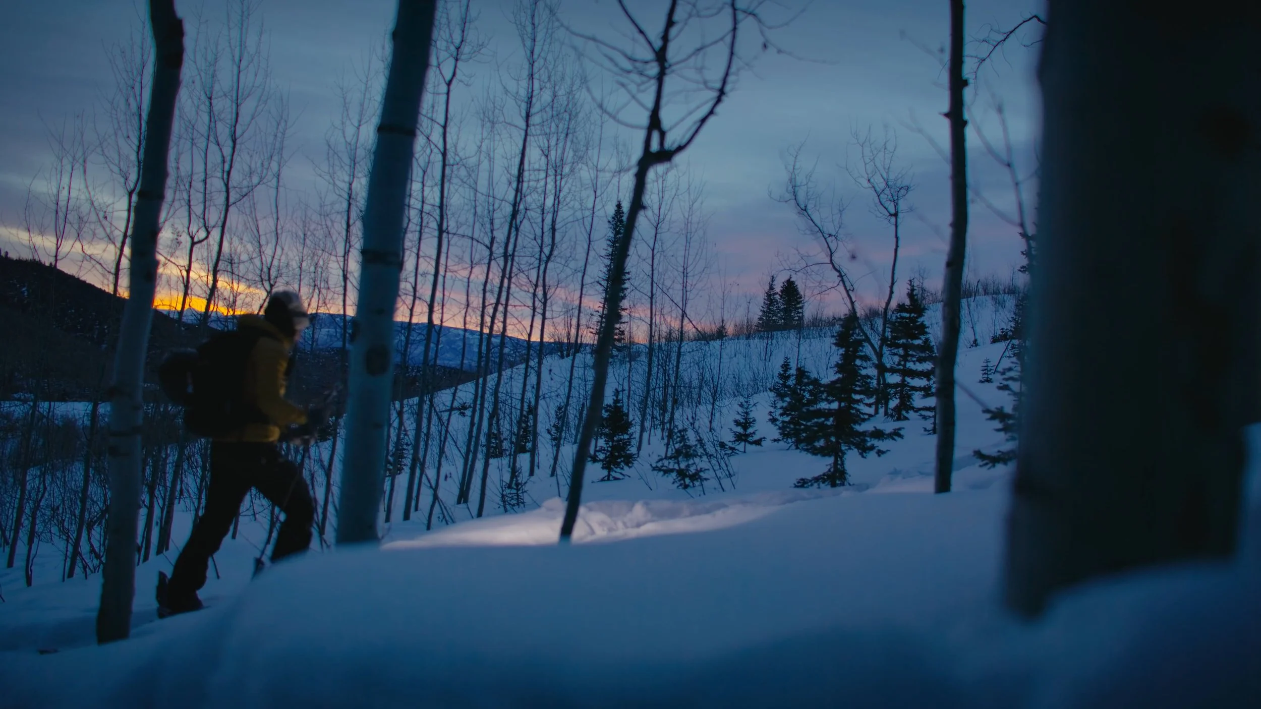 Forever in the Mountains