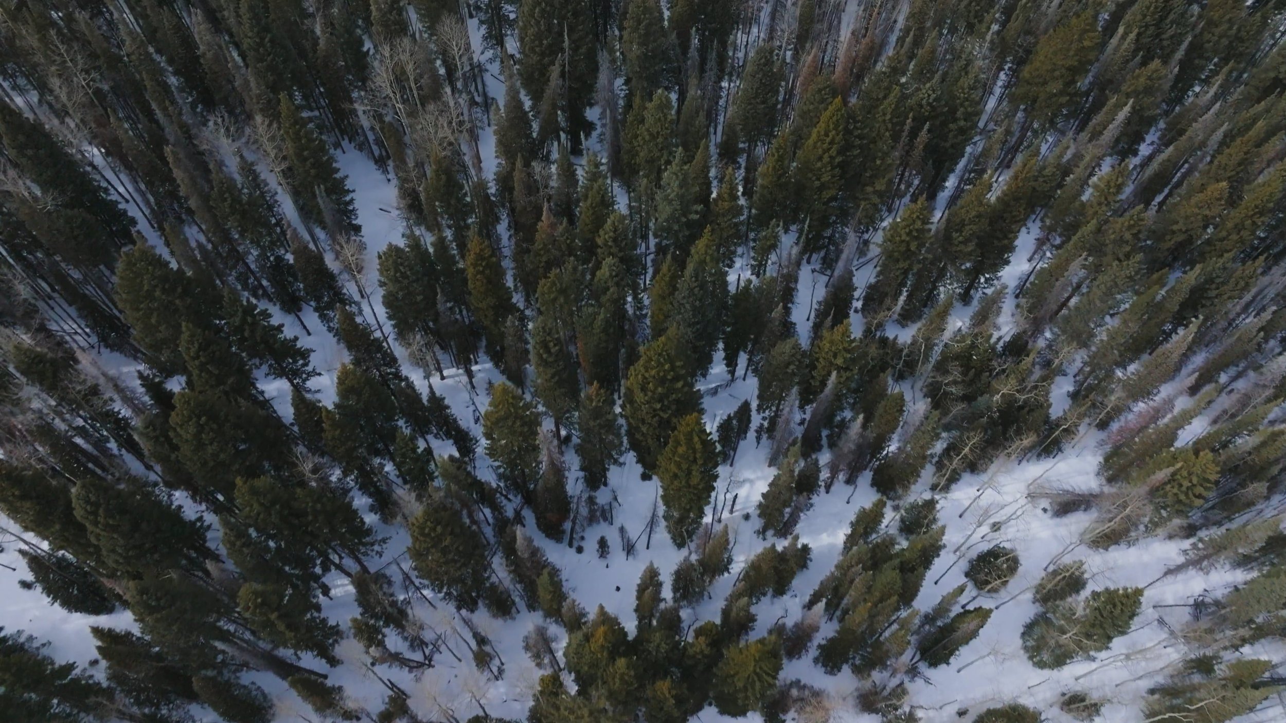 ski3..jpg