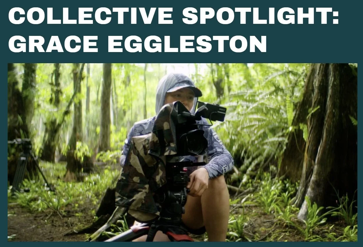                 Jackson Wild Collective Spotlight: Grace Eggleston