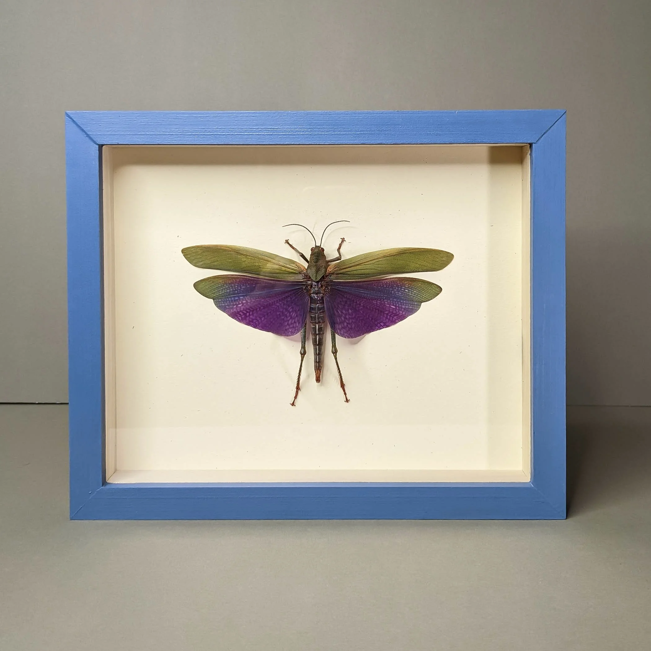 Purple Hopper — Green Beetle Shop