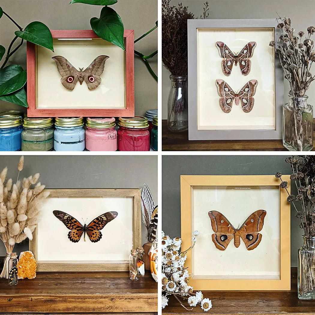 GBS Website Cutsom Order Collage Examples.jpg