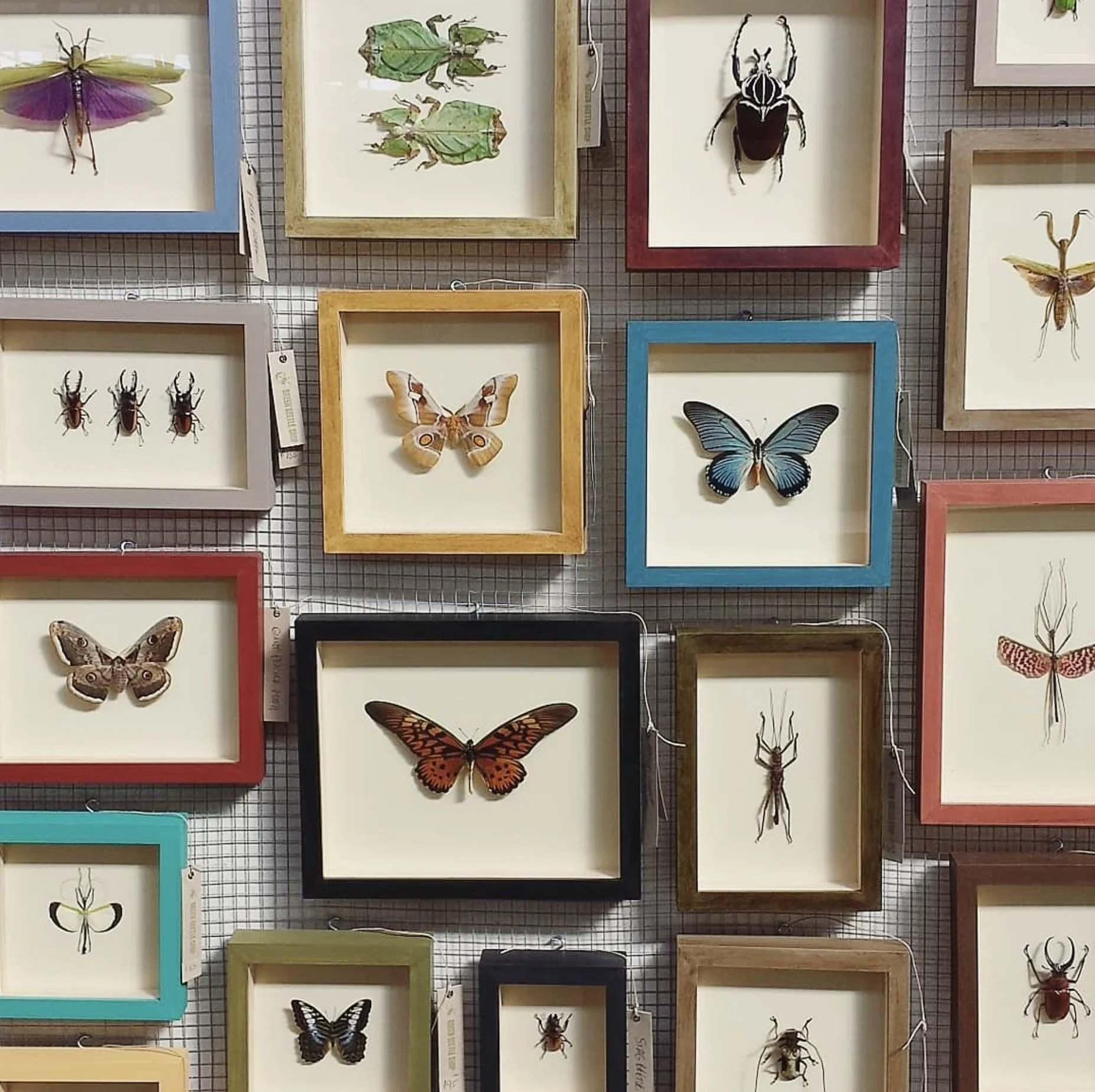 GBS Custom Order Example Photo 2.jpg